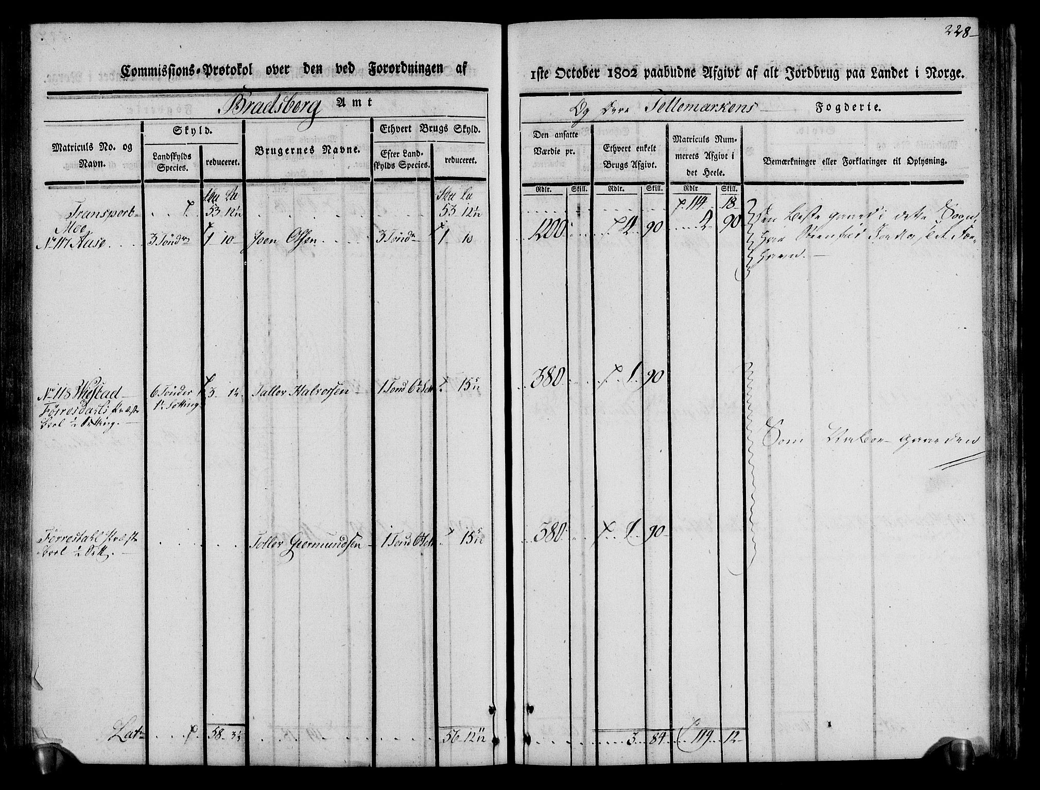 Rentekammeret inntil 1814, Realistisk ordnet avdeling, AV/RA-EA-4070/N/Ne/Nea/L0075: Øvre Telemarken fogderi. Kommisjonsprotokoll for fogderiets vestre del - Kviteseid, Vinje, Moland [):Fyresdal] og Lårdal prestegjeld., 1803, p. 230