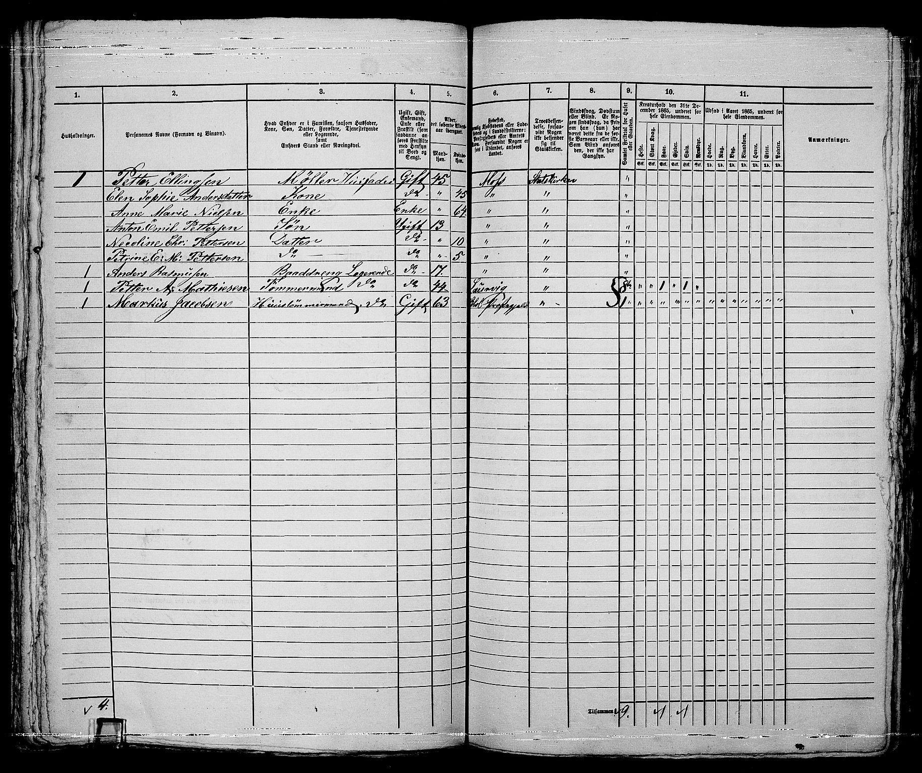 RA, 1865 census for Moss/Moss, 1865, p. 541