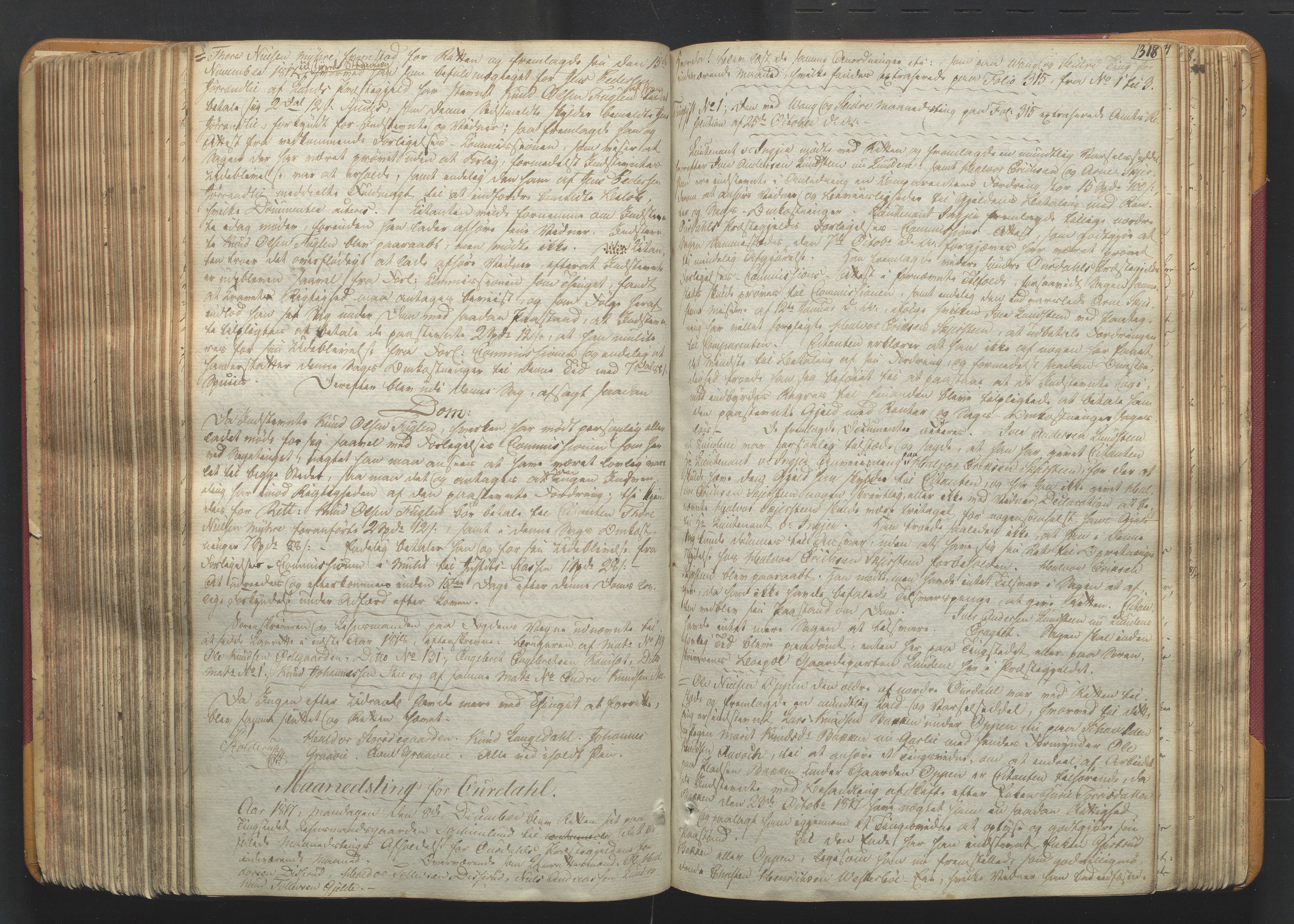 Valdres sorenskriveri, AV/SAH-TING-016/G/Gb/L0005: Tingbok, 1811-1821, p. 317b-318a