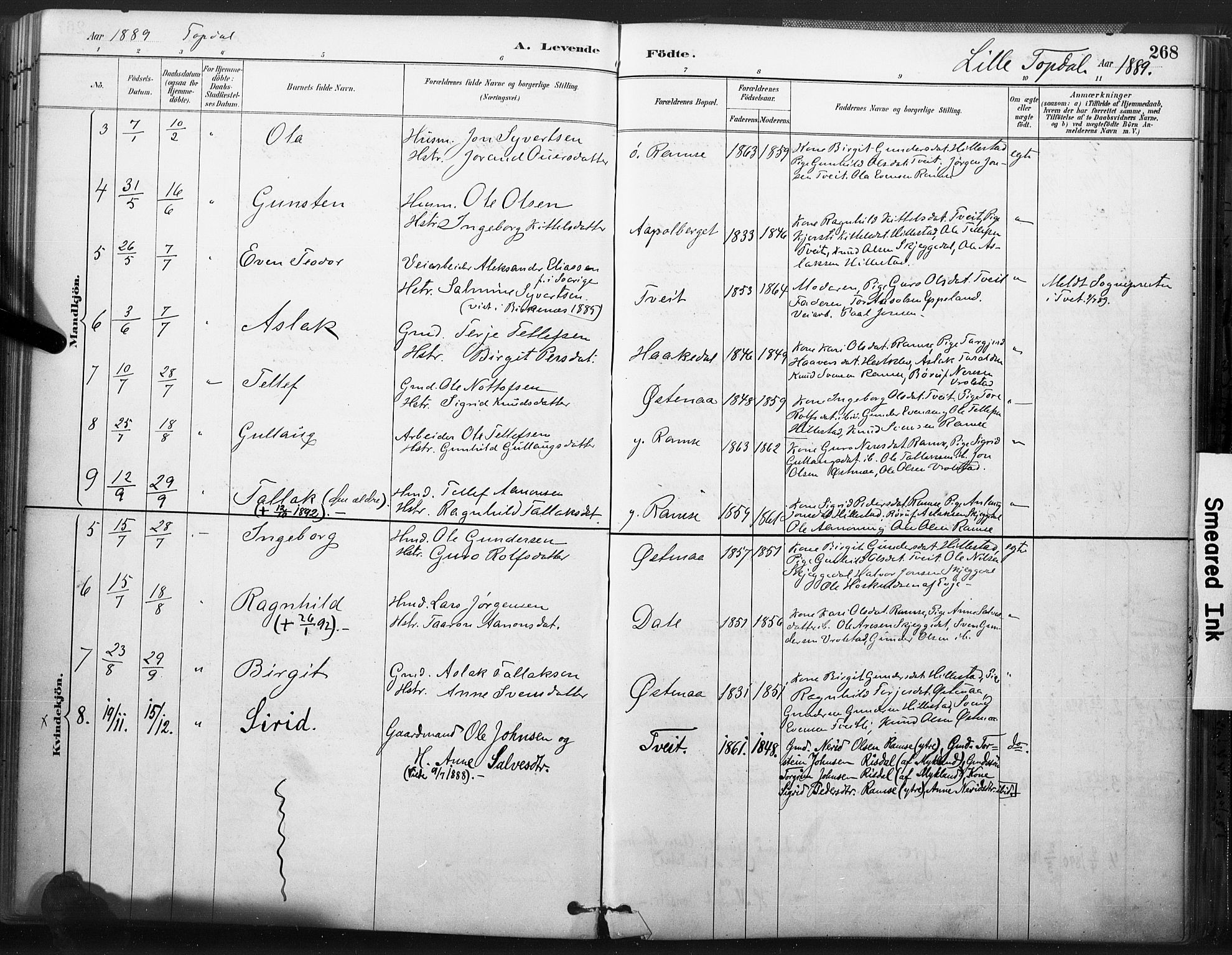 Åmli sokneprestkontor, AV/SAK-1111-0050/F/Fa/Fac/L0010: Parish register (official) no. A 10 /3, 1885-1899, p. 268