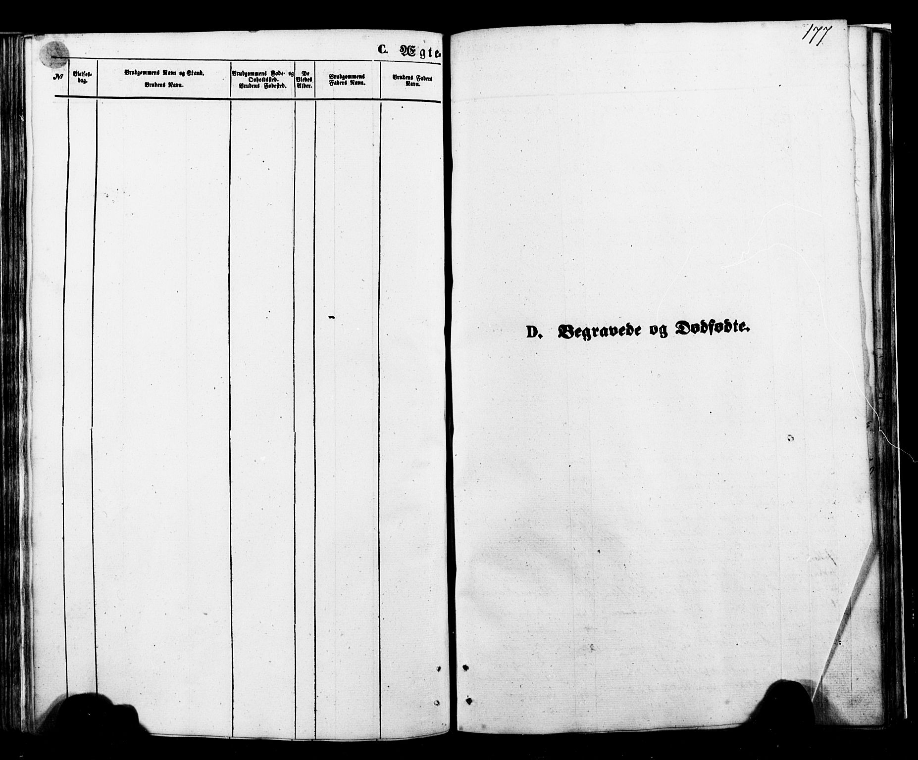 Ministerialprotokoller, klokkerbøker og fødselsregistre - Nordland, SAT/A-1459/898/L1421: Parish register (official) no. 898A01, 1866-1886, p. 177