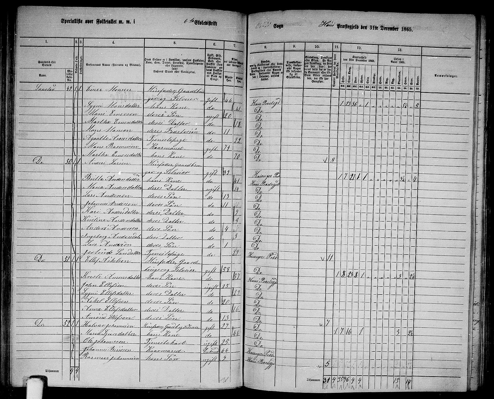 RA, 1865 census for Haus, 1865, p. 114