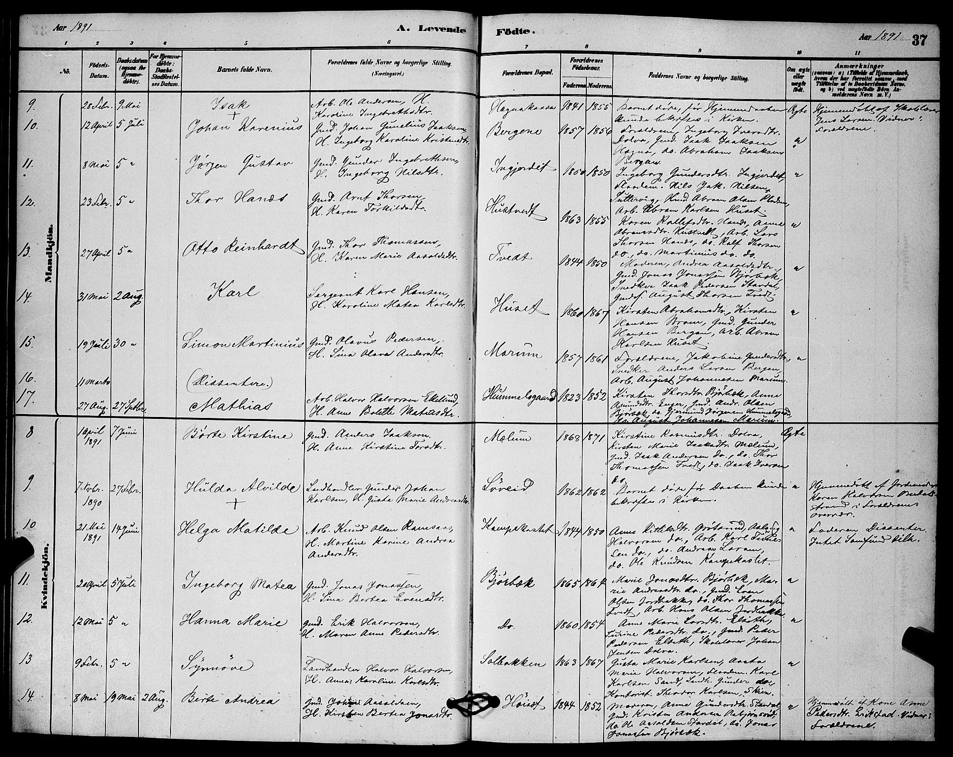 Solum kirkebøker, SAKO/A-306/G/Gb/L0003: Parish register (copy) no. II 3, 1880-1898, p. 37