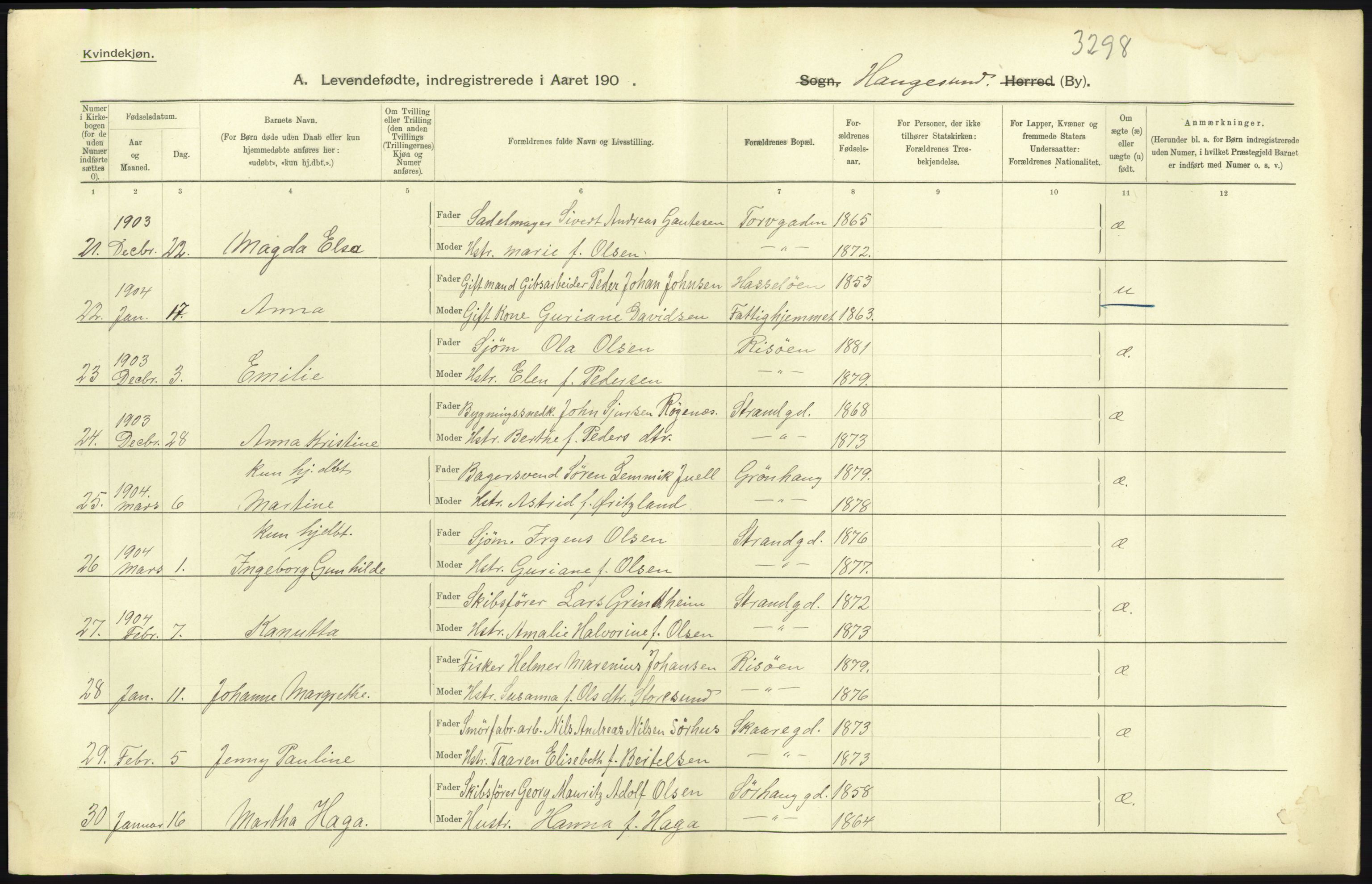 Statistisk sentralbyrå, Sosiodemografiske emner, Befolkning, AV/RA-S-2228/D/Df/Dfa/Dfab/L0012: Stavanger amt: Fødte, gifte, døde, 1904, p. 29