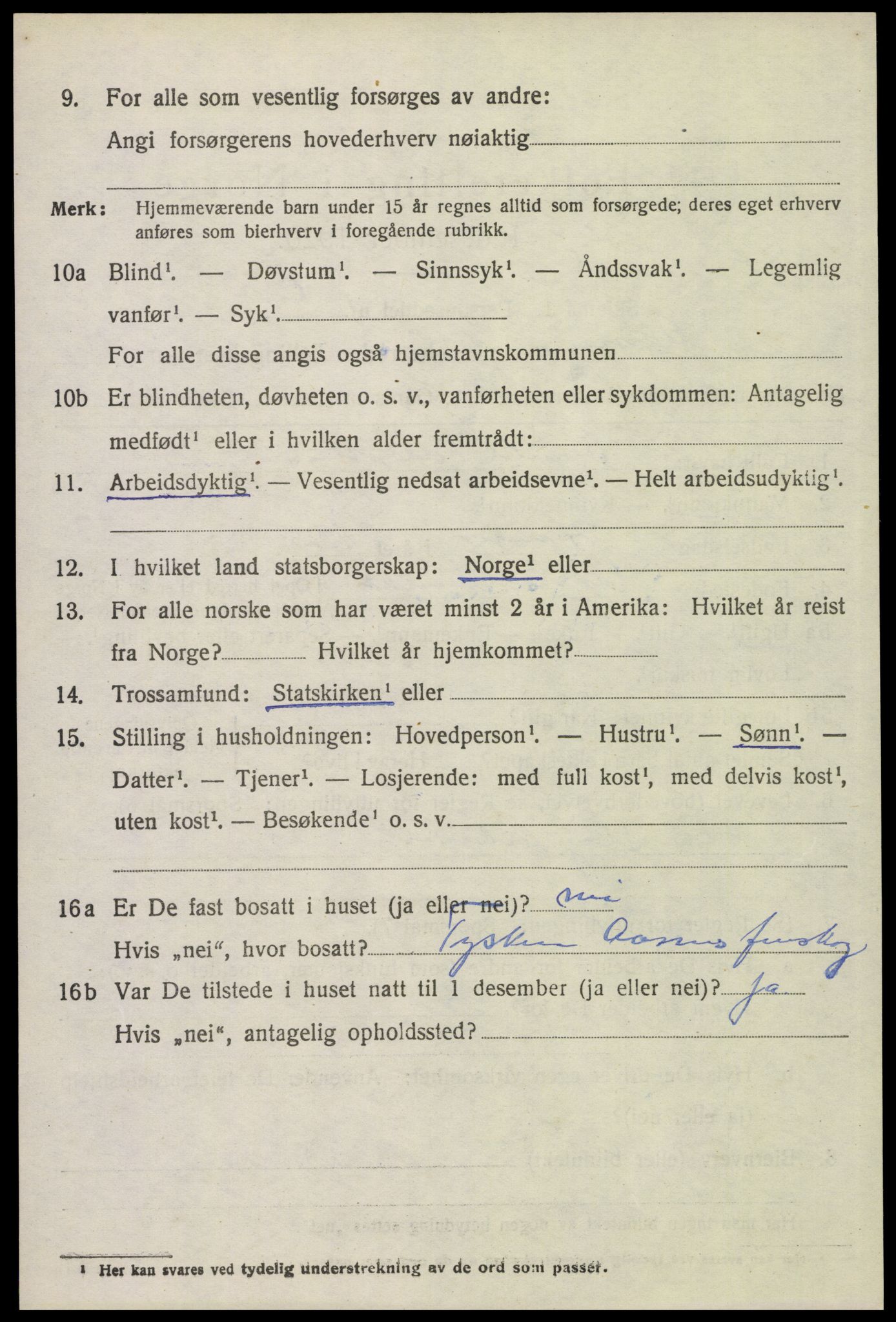 SAH, 1920 census for Åsnes, 1920, p. 12661