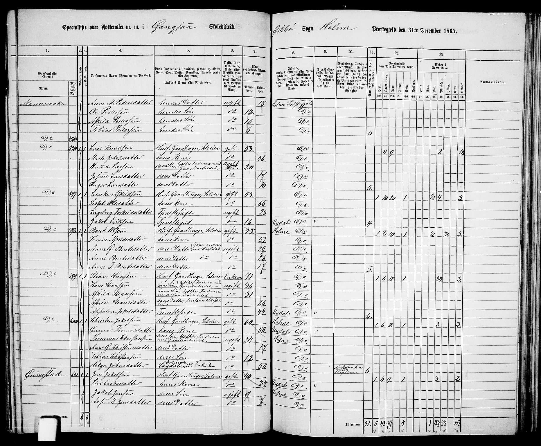 RA, 1865 census for Holum, 1865, p. 112