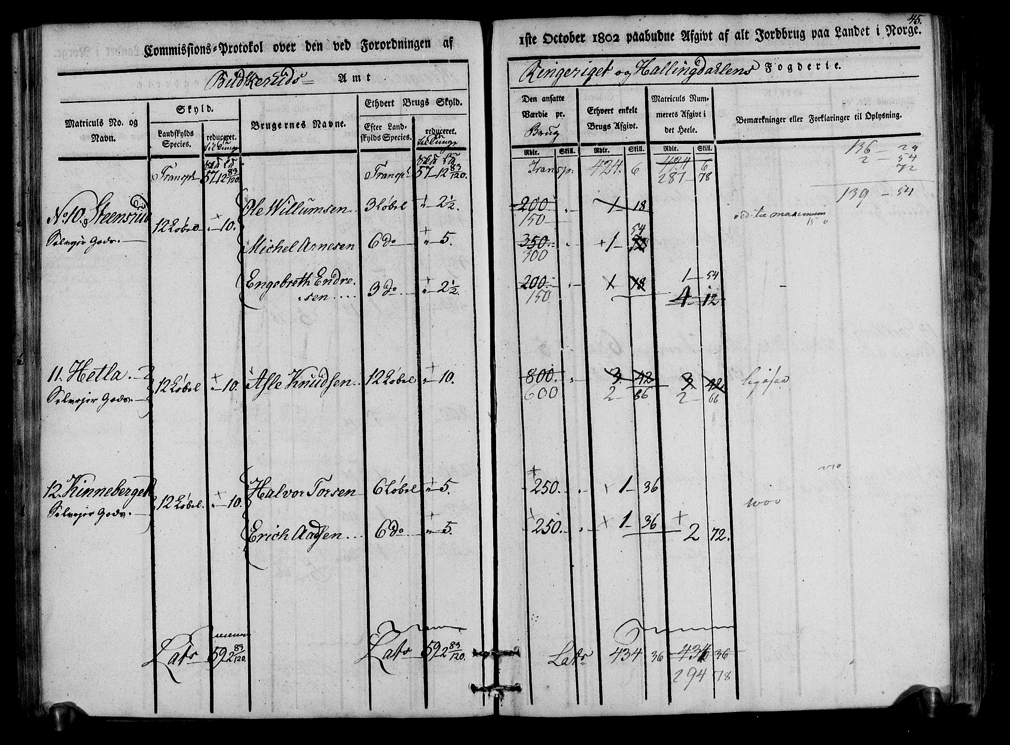 Rentekammeret inntil 1814, Realistisk ordnet avdeling, RA/EA-4070/N/Ne/Nea/L0047: Ringerike og Hallingdal fogderi. Kommisjonsprotokoll for Nes prestegjeld, 1803, p. 47