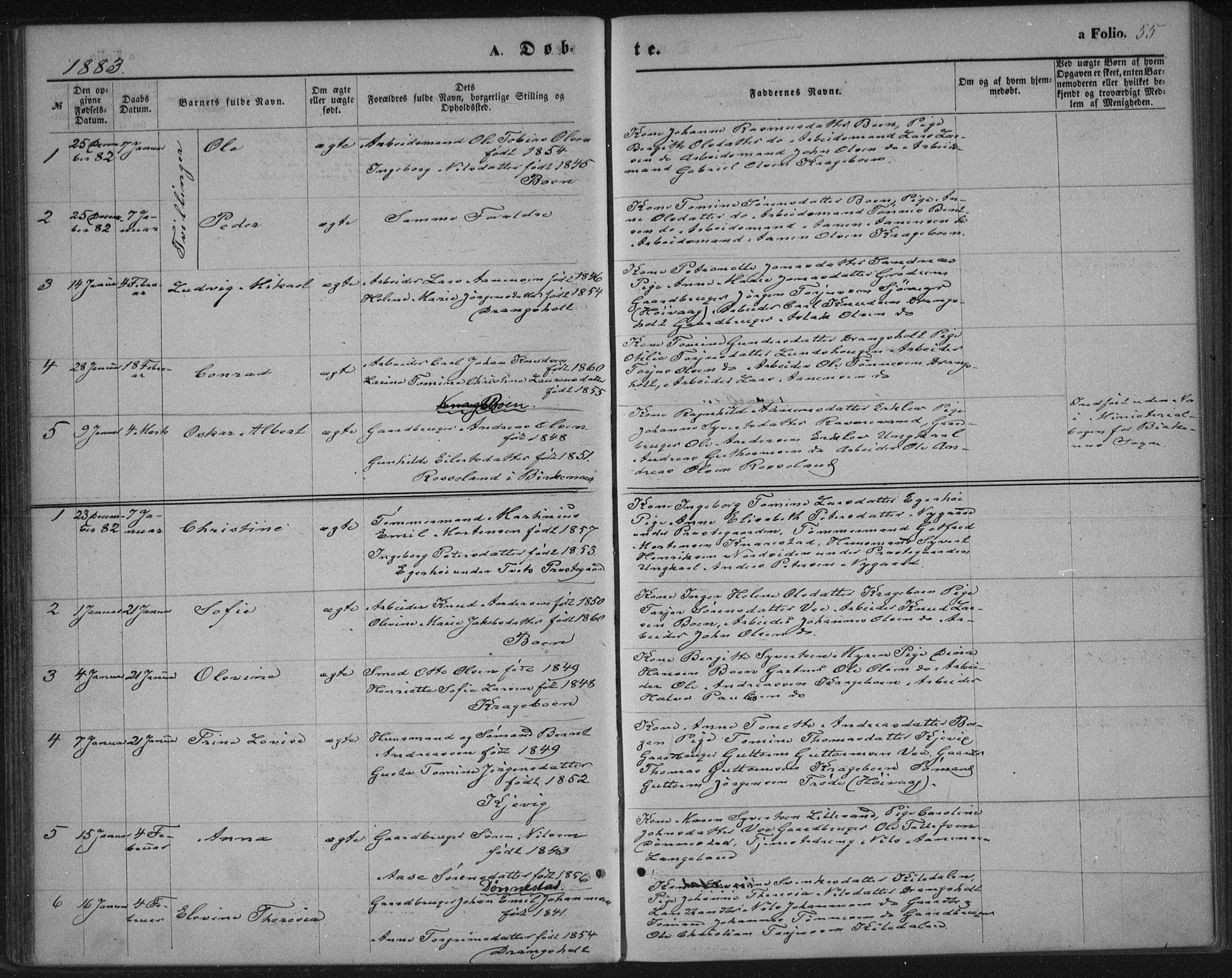 Tveit sokneprestkontor, SAK/1111-0043/F/Fa/L0006: Parish register (official) no. A 6, 1872-1886, p. 55
