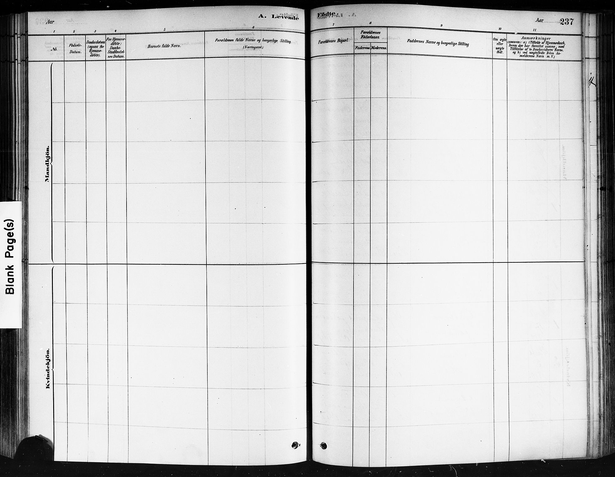 Strømsø kirkebøker, AV/SAKO-A-246/F/Fa/L0021: Parish register (official) no. I 21, 1878-1885, p. 237