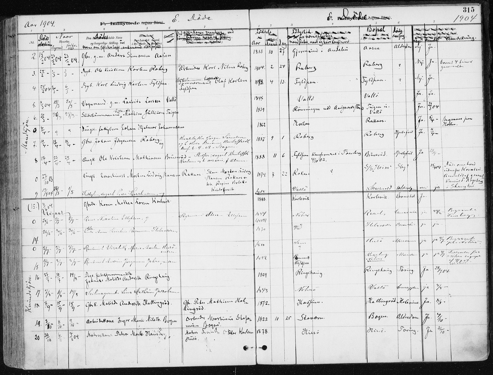 Sem kirkebøker, AV/SAKO-A-5/F/Fb/L0005: Parish register (official) no. II 5, 1892-1904, p. 315