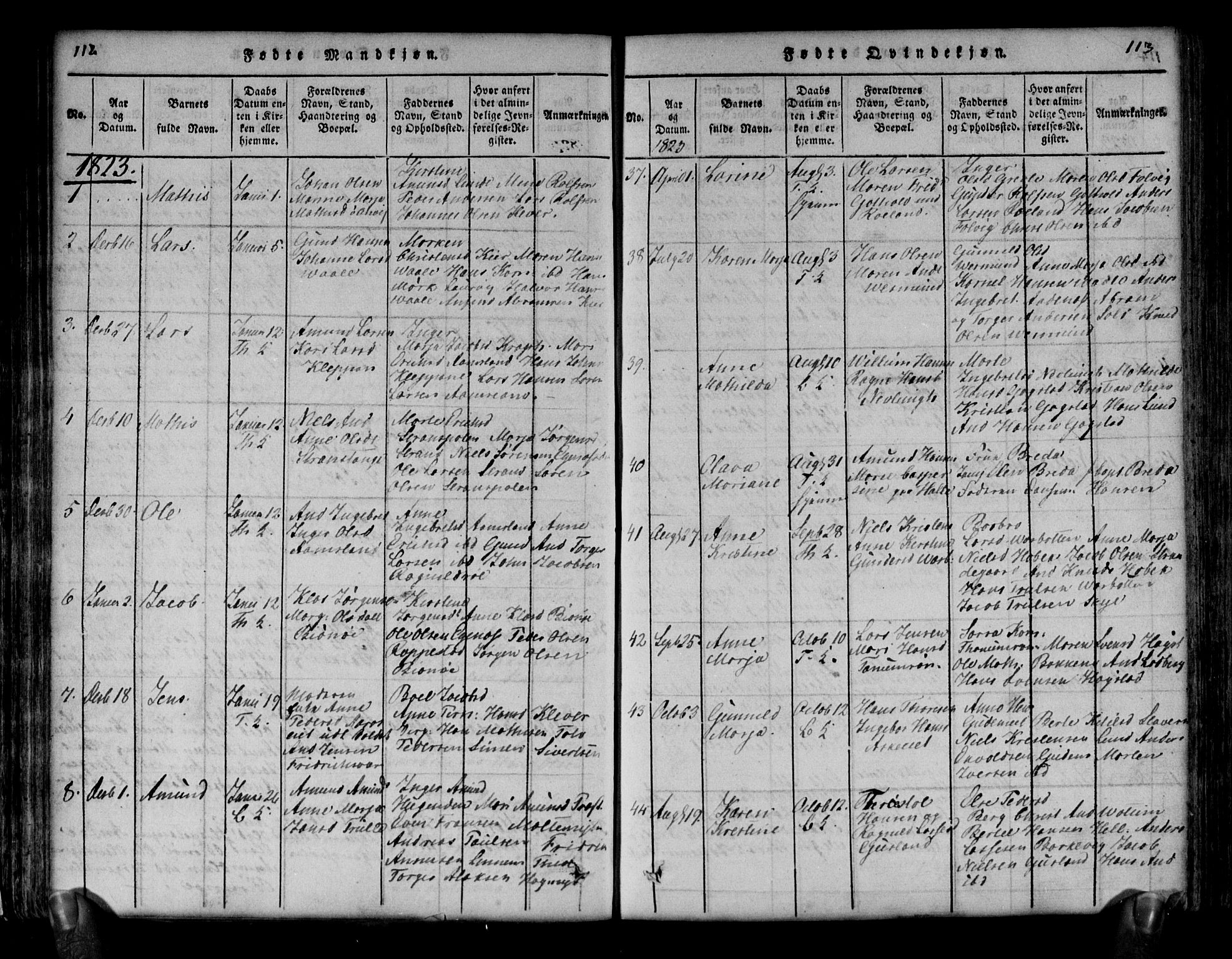 Brunlanes kirkebøker, AV/SAKO-A-342/G/Ga/L0001: Parish register (copy) no. I 1, 1814-1834, p. 112-113