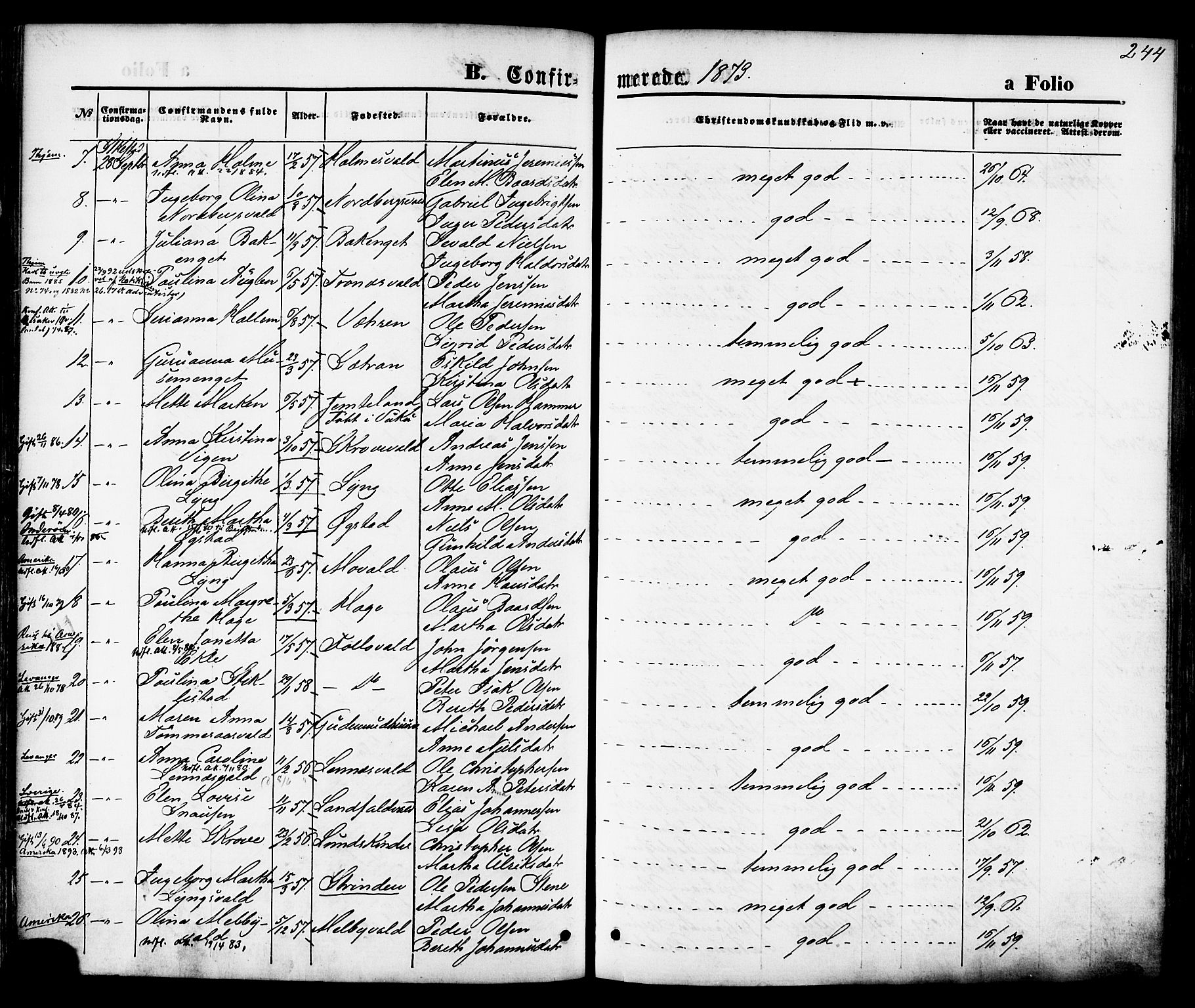 Ministerialprotokoller, klokkerbøker og fødselsregistre - Nord-Trøndelag, AV/SAT-A-1458/723/L0242: Parish register (official) no. 723A11, 1870-1880, p. 244