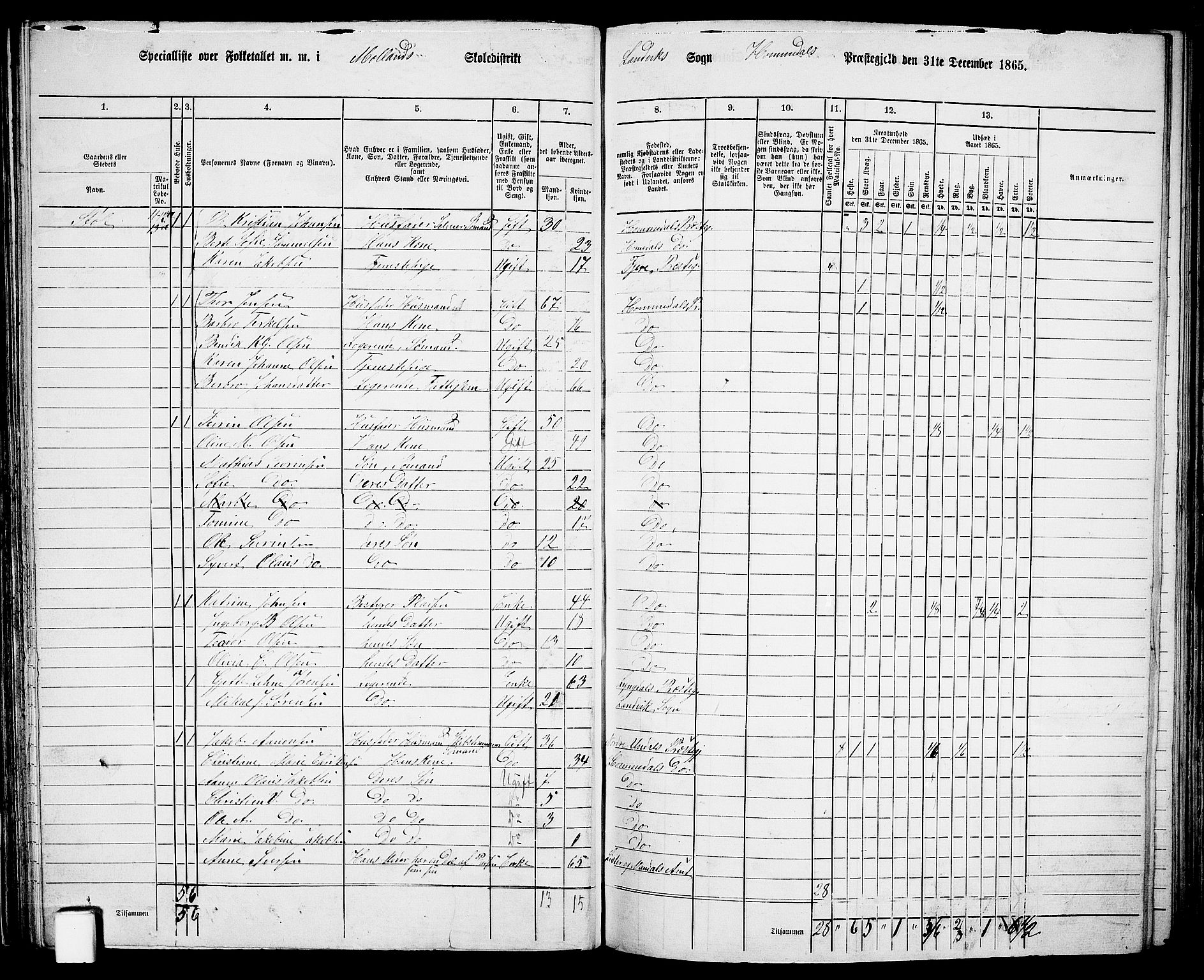 RA, 1865 census for Homedal, 1865, p. 55