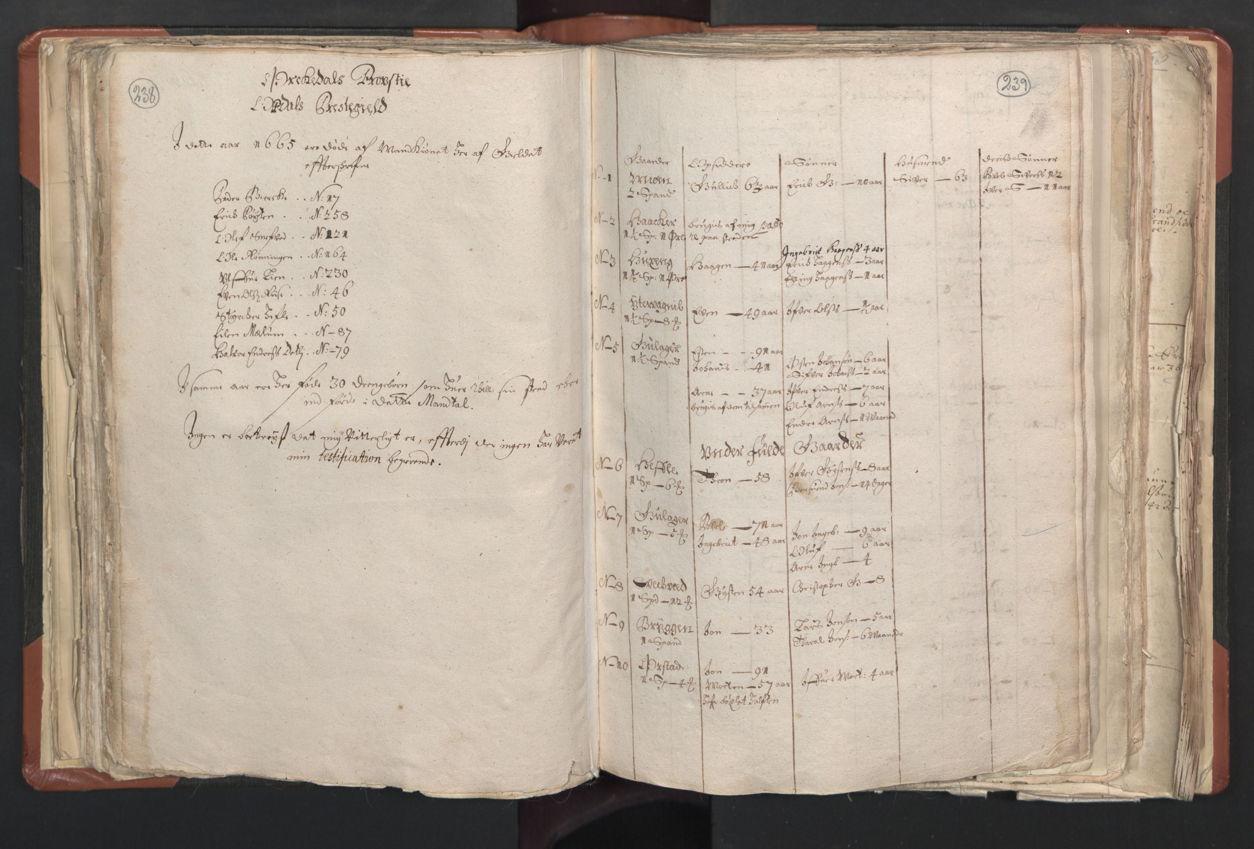 RA, Vicar's Census 1664-1666, no. 31: Dalane deanery, 1664-1666, p. 238-239