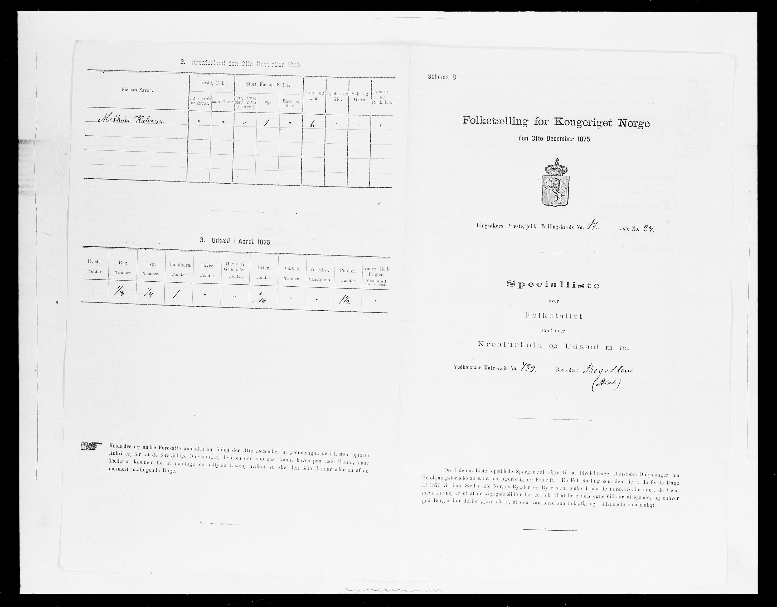 SAH, 1875 census for 0412P Ringsaker, 1875, p. 3439