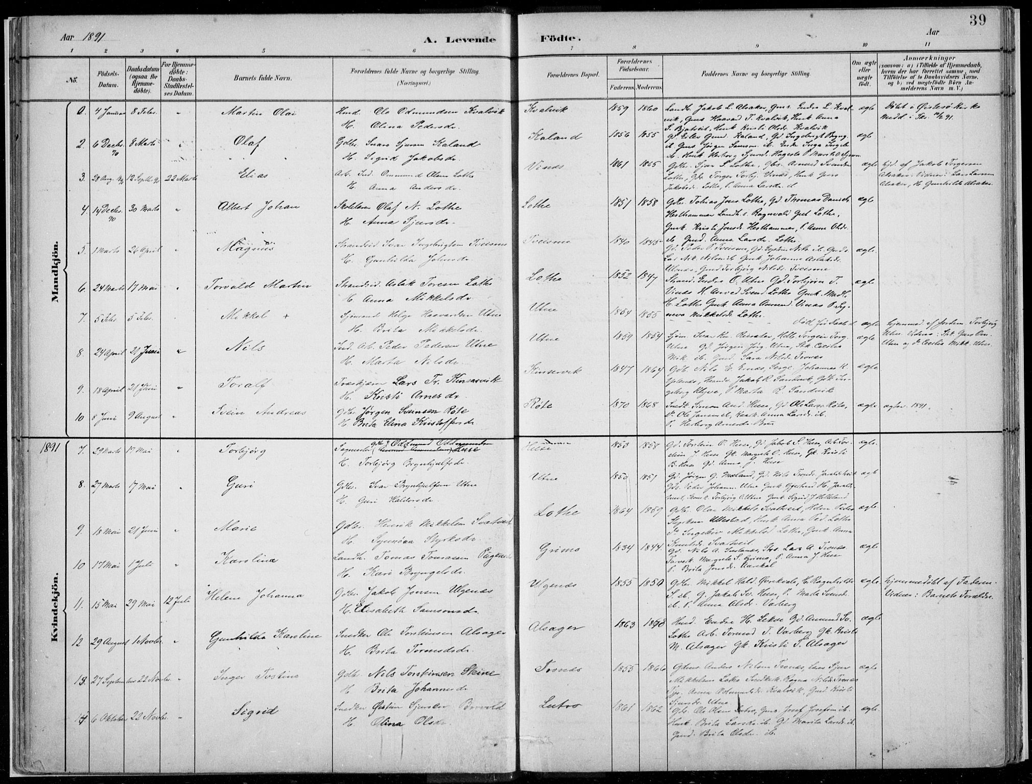 Ullensvang sokneprestembete, SAB/A-78701/H/Haa: Parish register (official) no. E  1, 1882-1921, p. 39