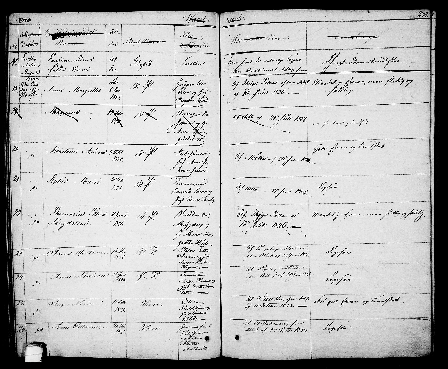 Porsgrunn kirkebøker , SAKO/A-104/F/Fa/L0005: Parish register (official) no. 5, 1828-1840, p. 234