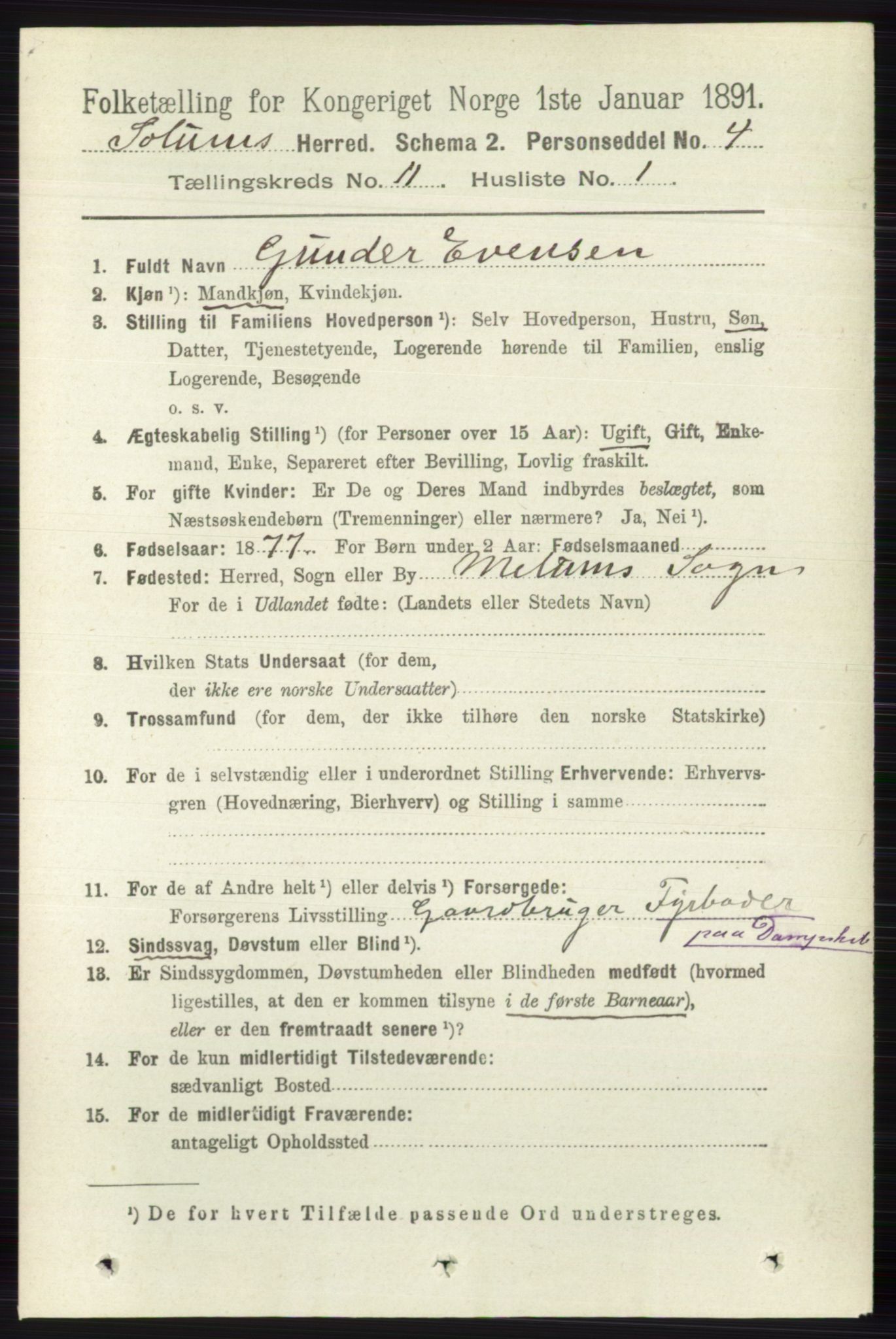 RA, 1891 census for 0818 Solum, 1891, p. 5290