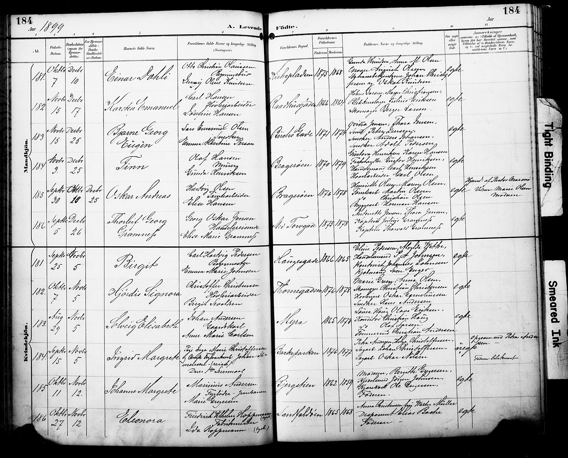 Bragernes kirkebøker, SAKO/A-6/F/Fb/L0008: Parish register (official) no. II 8, 1894-1902, p. 184