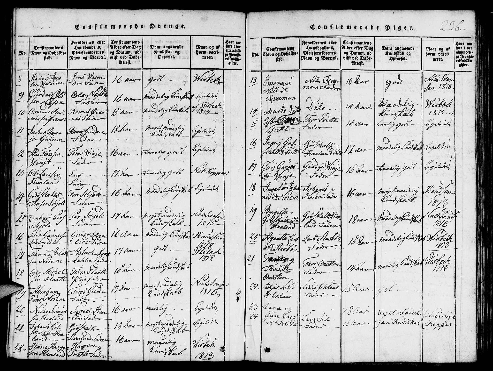 Etne sokneprestembete, AV/SAB-A-75001/H/Hab: Parish register (copy) no. C 1, 1816-1841, p. 236