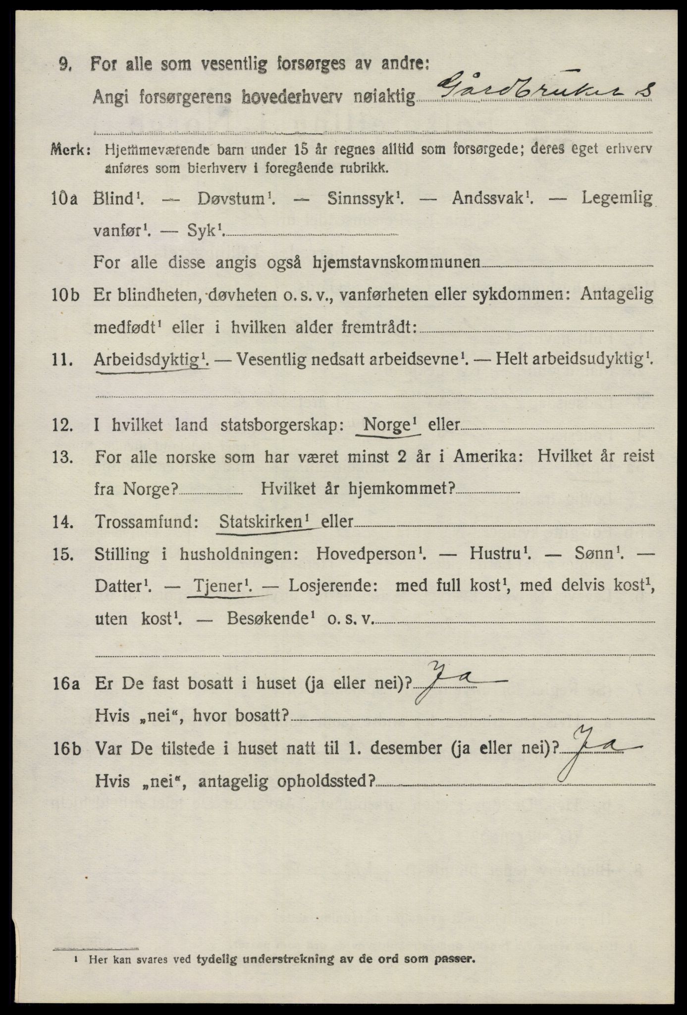 SAO, 1920 census for Nes, 1920, p. 6633
