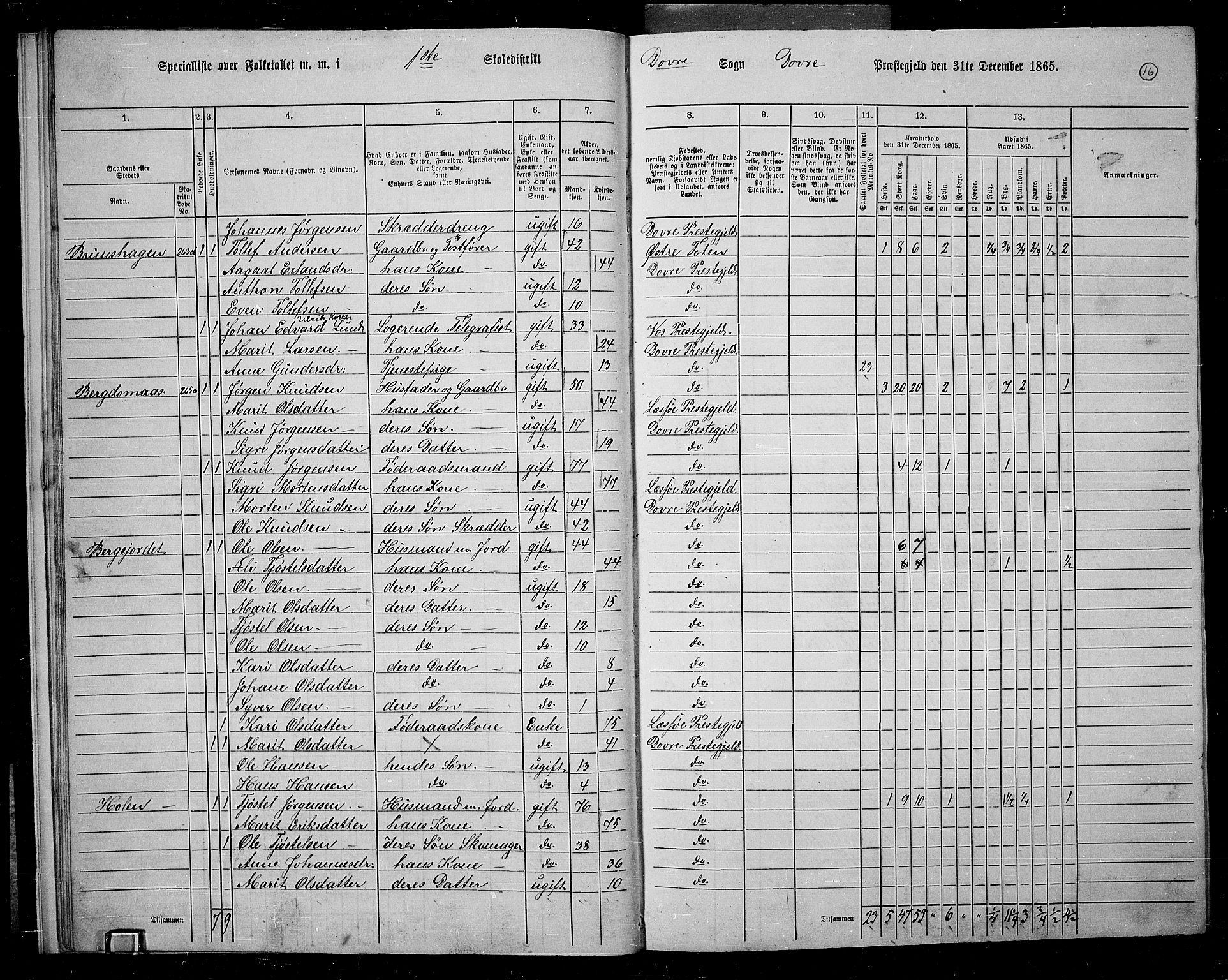 RA, 1865 census for Dovre, 1865, p. 17