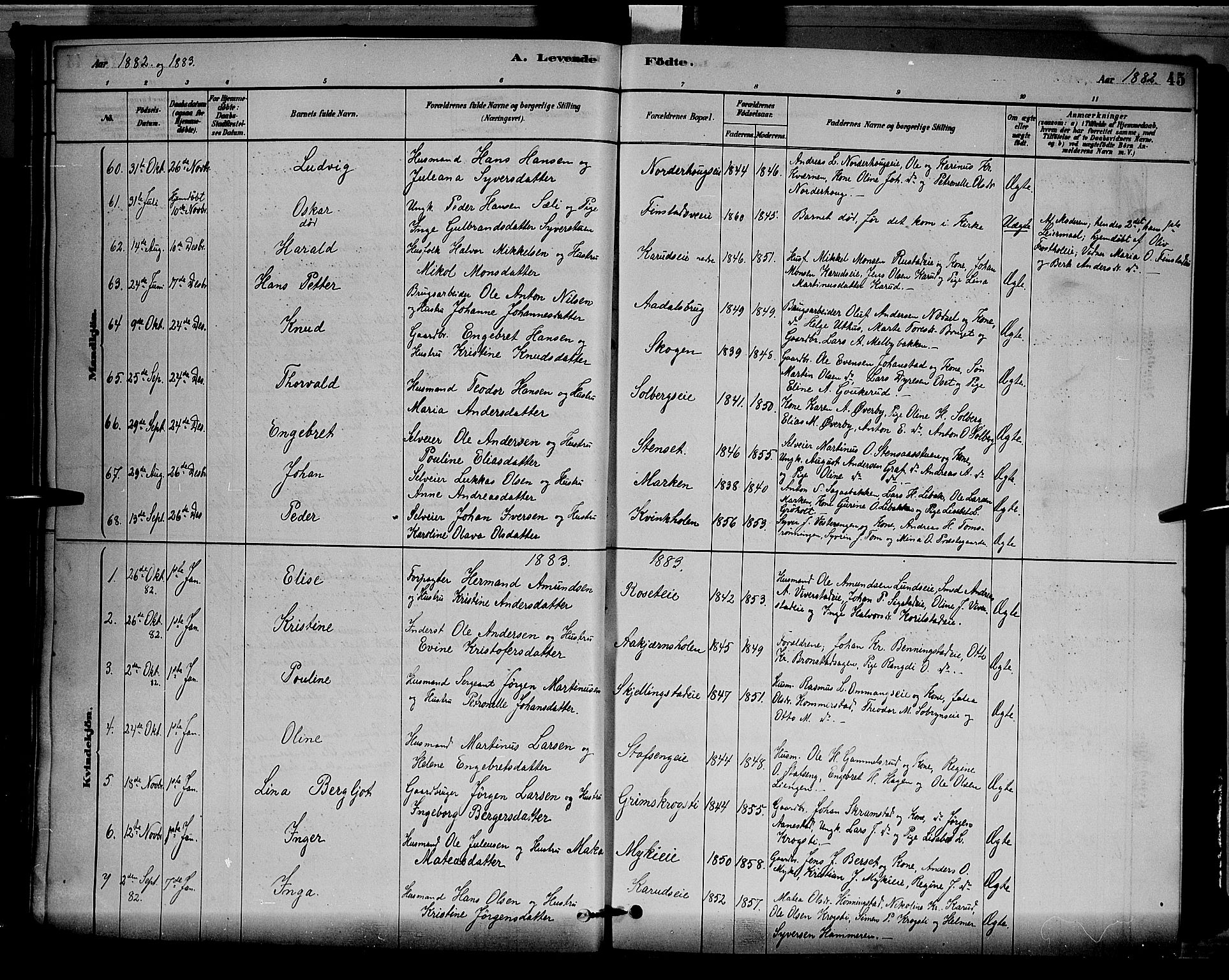 Løten prestekontor, AV/SAH-PREST-022/L/La/L0005: Parish register (copy) no. 5, 1878-1891, p. 45