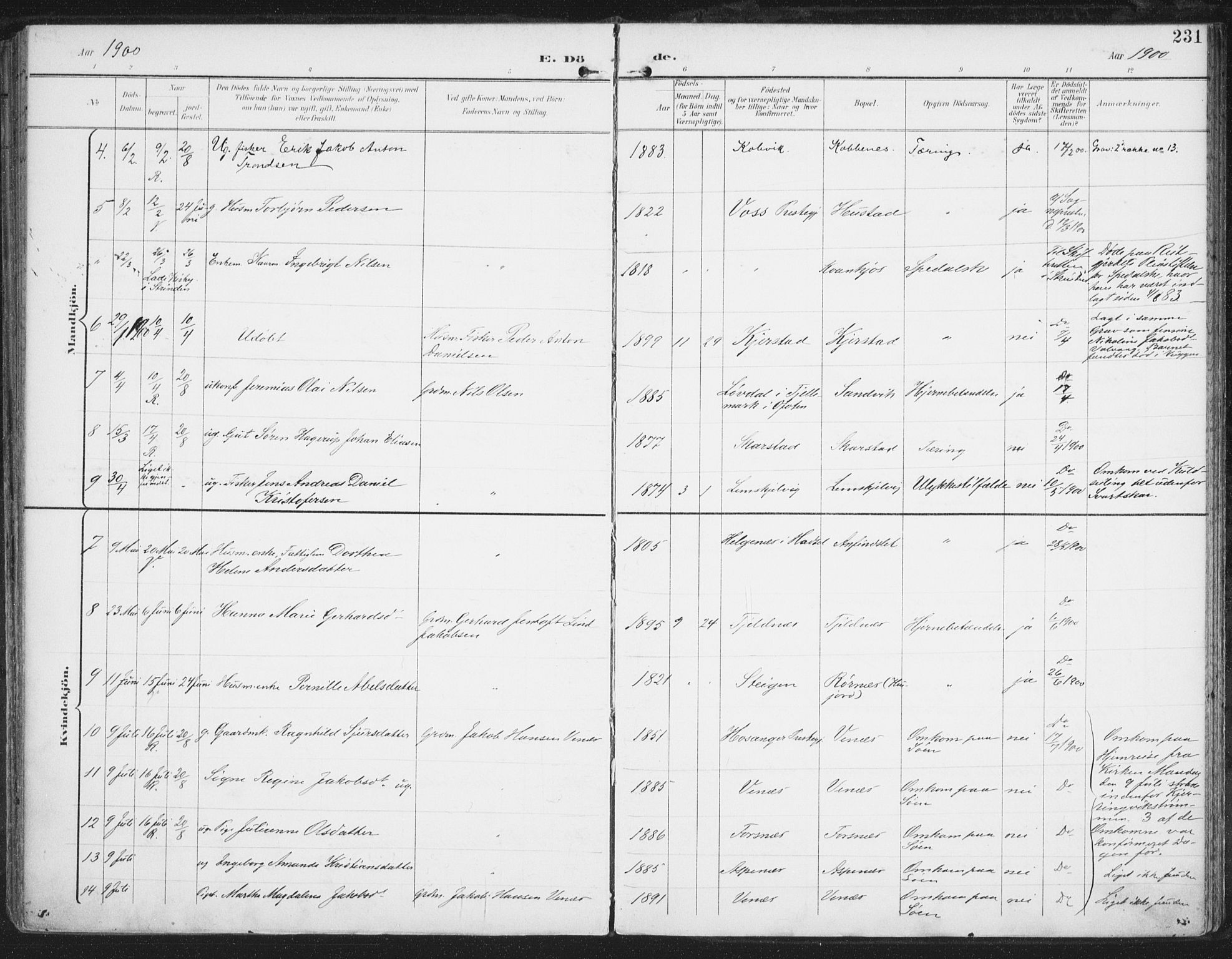 Ministerialprotokoller, klokkerbøker og fødselsregistre - Nordland, AV/SAT-A-1459/872/L1036: Parish register (official) no. 872A11, 1897-1913, p. 231