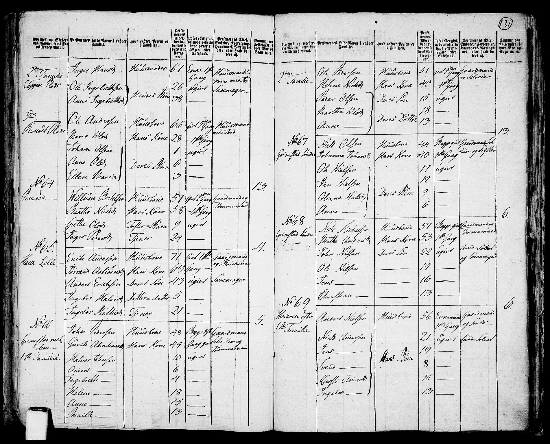 RA, 1801 census for 0113P Borge, 1801, p. 130b-131a