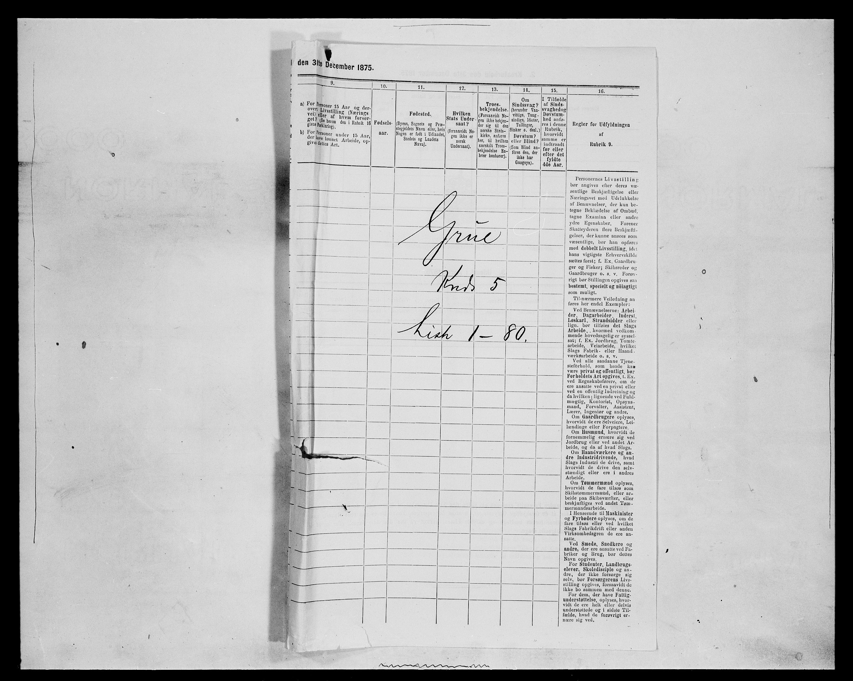 SAH, 1875 census for 0423P Grue, 1875, p. 905