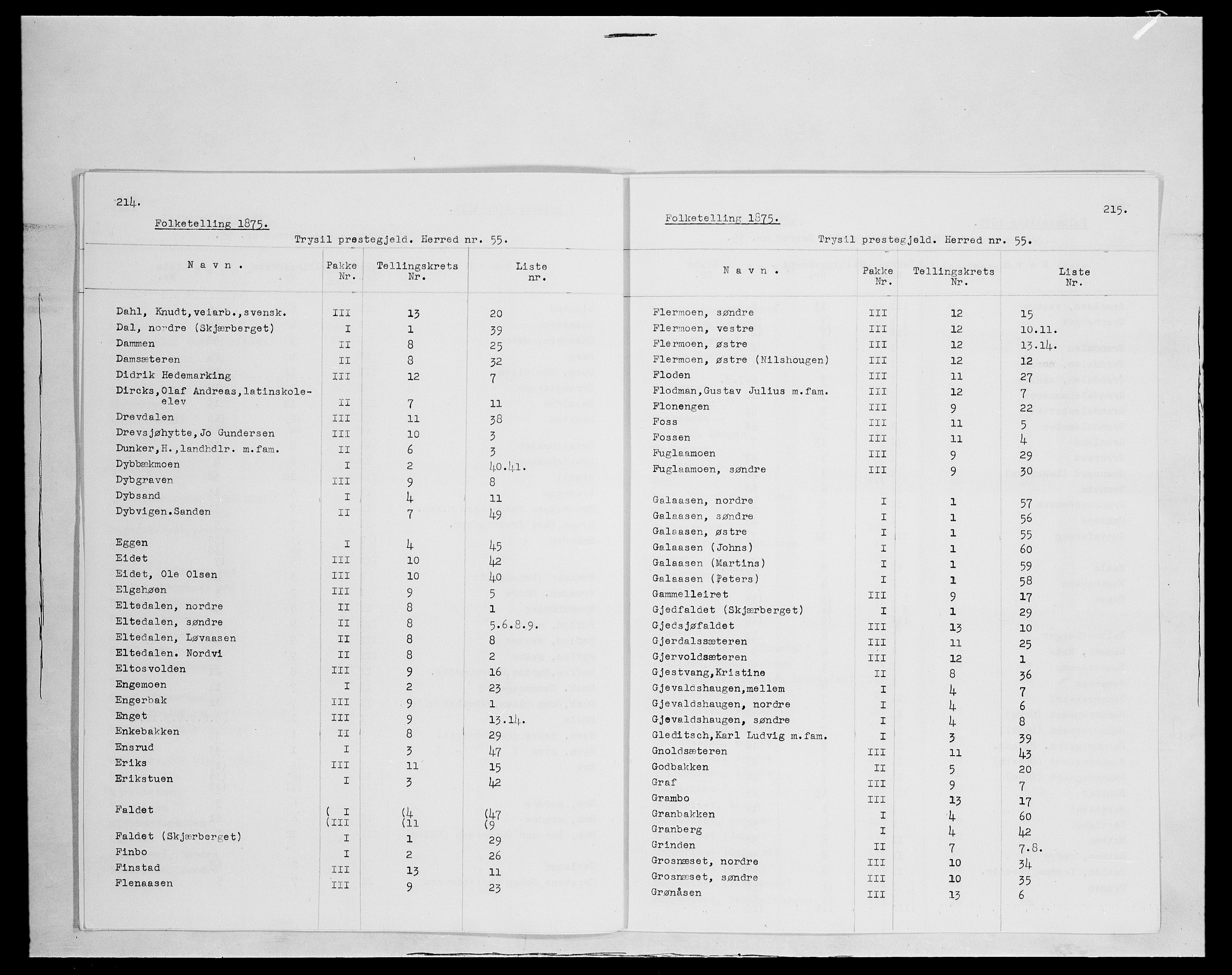 SAH, 1875 census for 0428P Trysil, 1875, p. 2