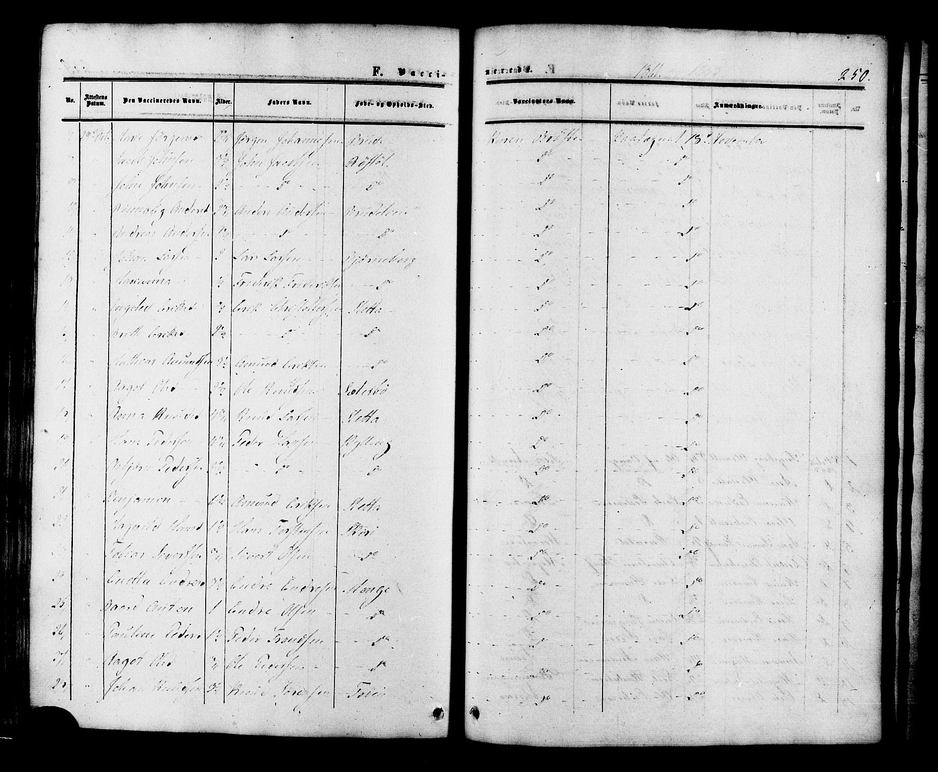 Ministerialprotokoller, klokkerbøker og fødselsregistre - Møre og Romsdal, AV/SAT-A-1454/546/L0594: Parish register (official) no. 546A02, 1854-1882, p. 250