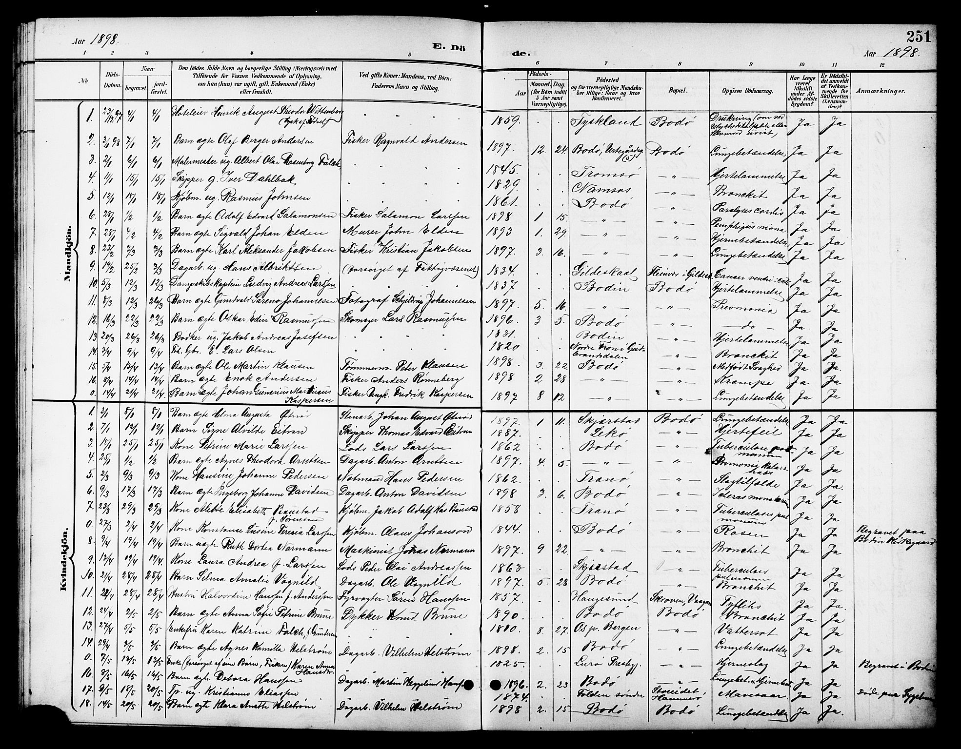 Ministerialprotokoller, klokkerbøker og fødselsregistre - Nordland, SAT/A-1459/801/L0033: Parish register (copy) no. 801C08, 1898-1910, p. 251