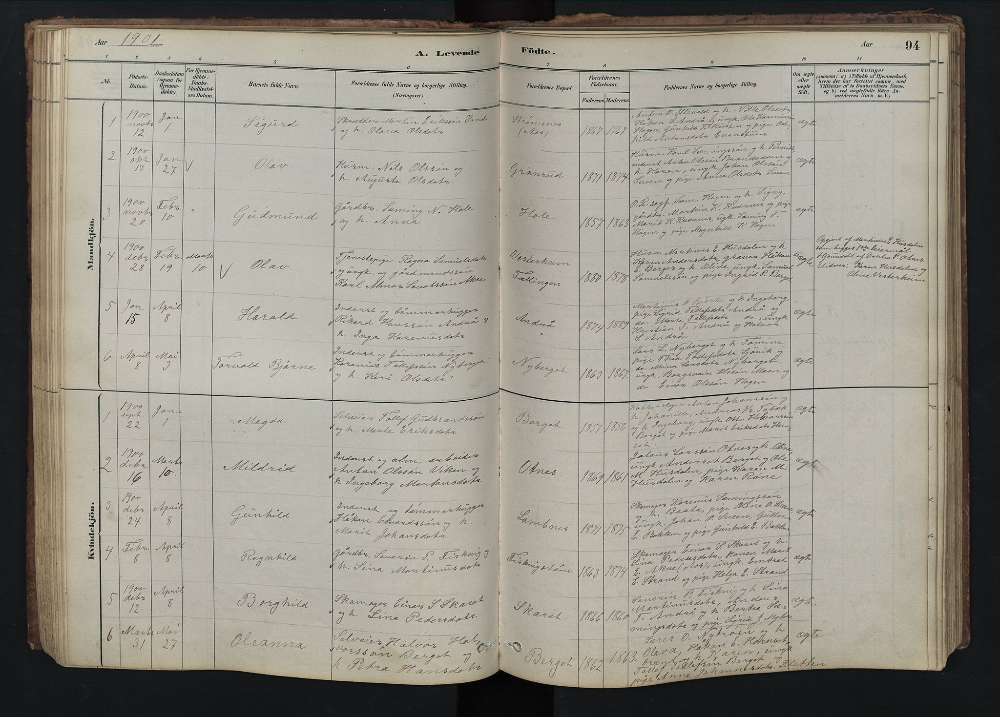 Rendalen prestekontor, SAH/PREST-054/H/Ha/Hab/L0009: Parish register (copy) no. 9, 1879-1902, p. 94