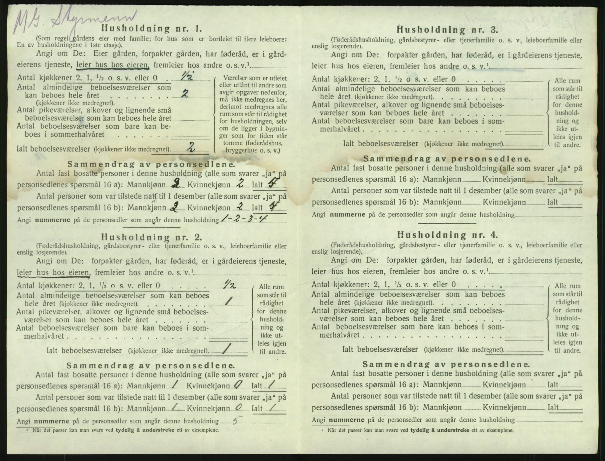 SAKO, 1920 census for Brunlanes, 1920, p. 1252
