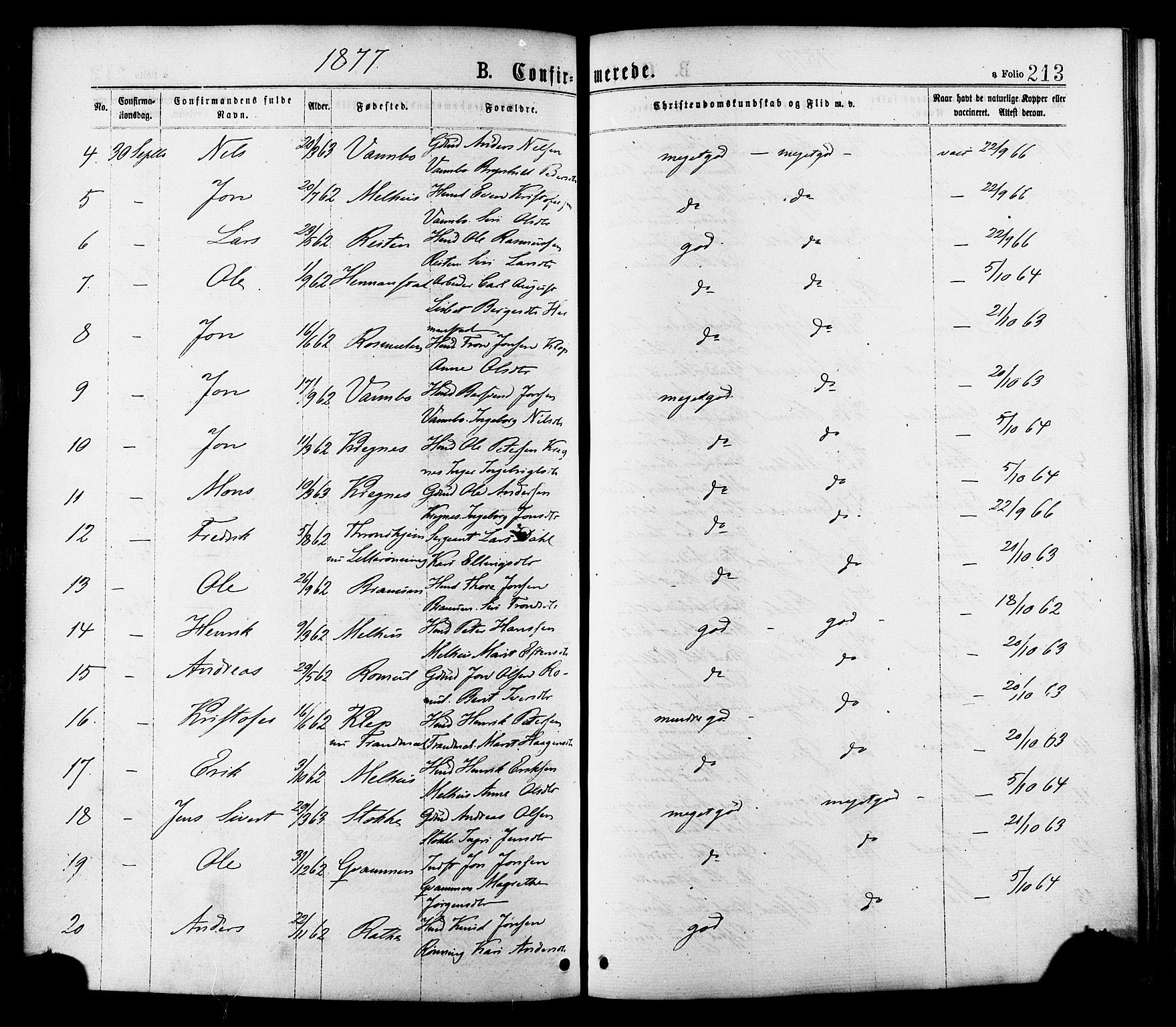 Ministerialprotokoller, klokkerbøker og fødselsregistre - Sør-Trøndelag, AV/SAT-A-1456/691/L1079: Parish register (official) no. 691A11, 1873-1886, p. 213