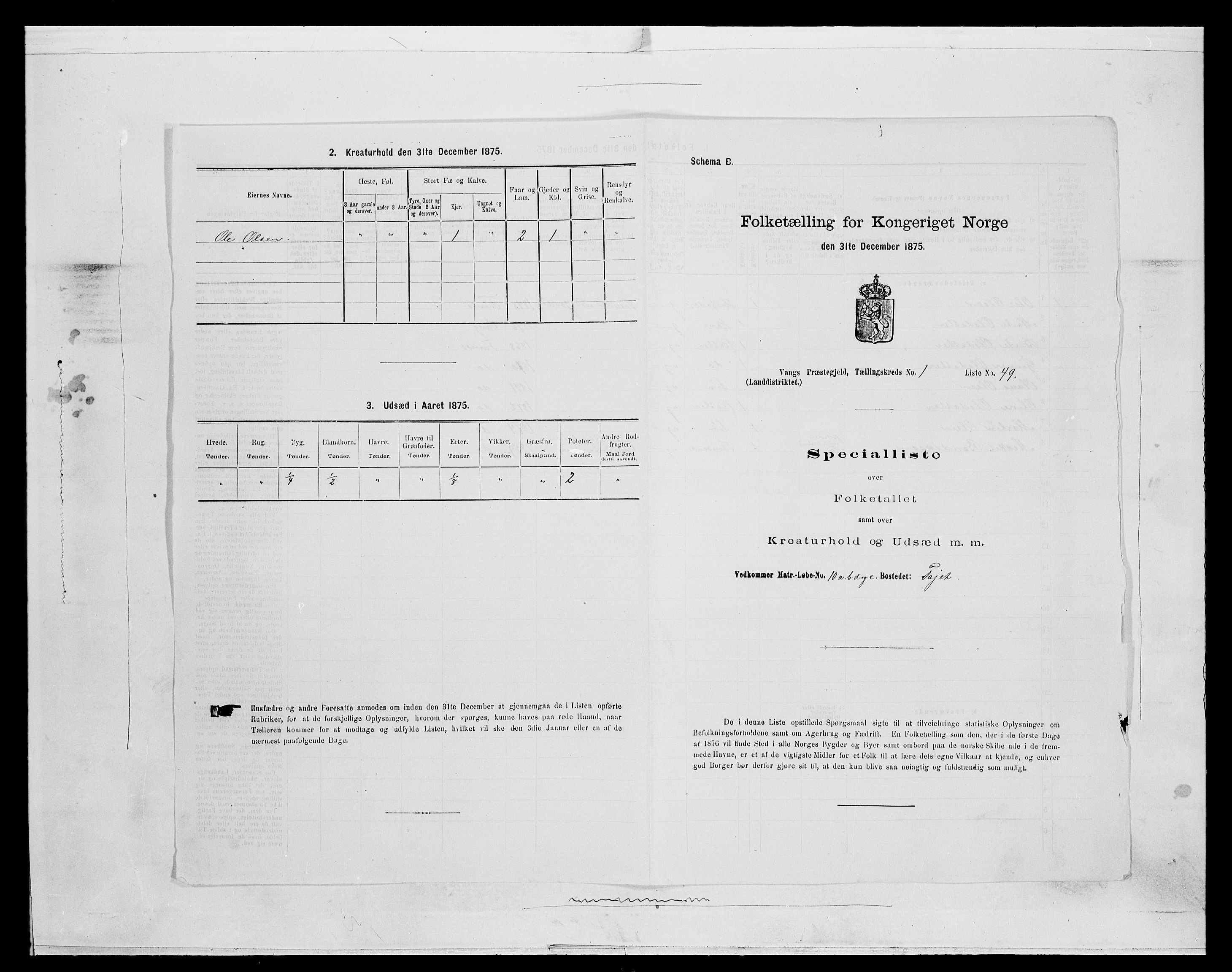 SAH, 1875 census for 0414L Vang/Vang og Furnes, 1875, p. 262