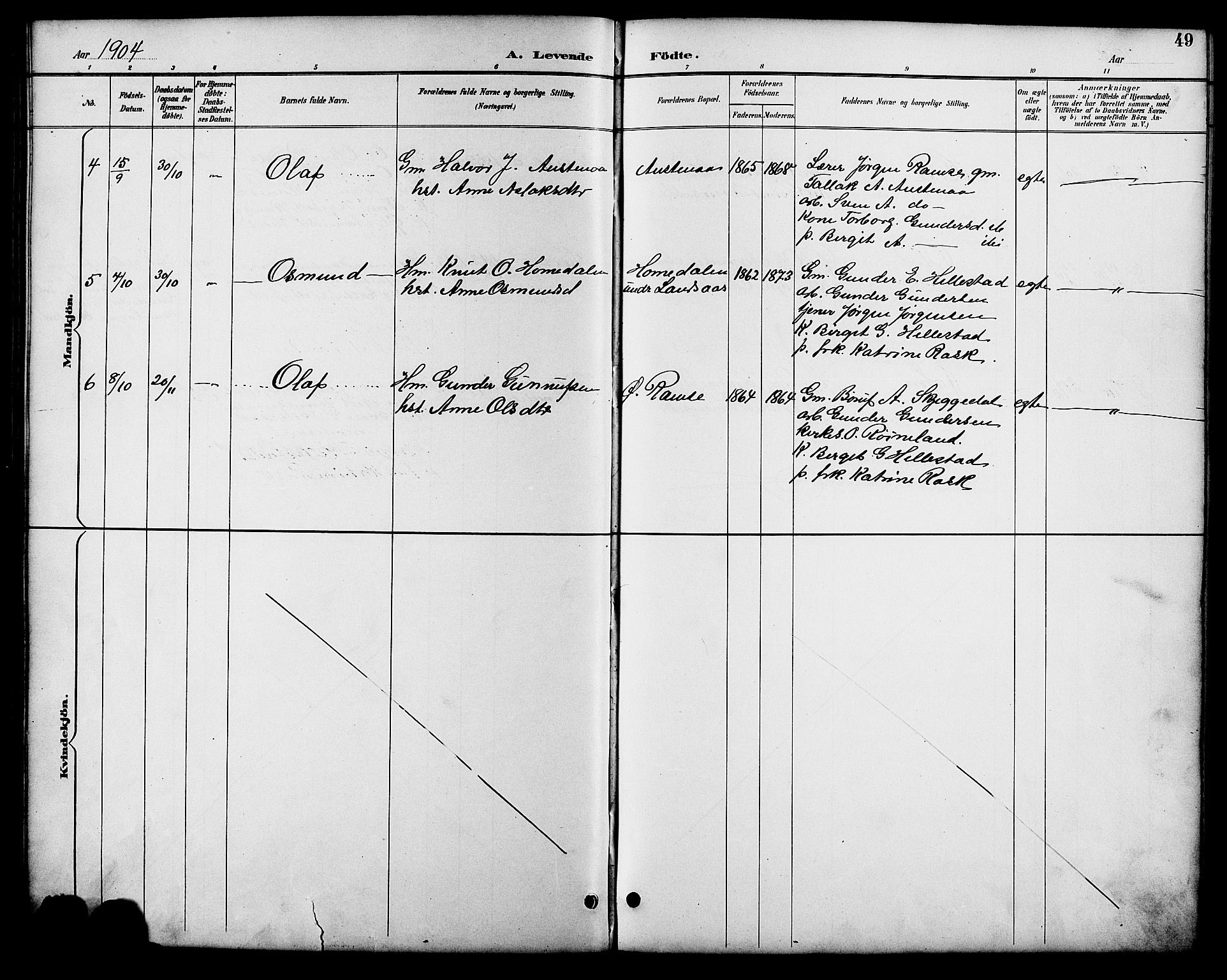 Åmli sokneprestkontor, AV/SAK-1111-0050/F/Fb/Fbb/L0002: Parish register (copy) no. B 2, 1890-1905, p. 49