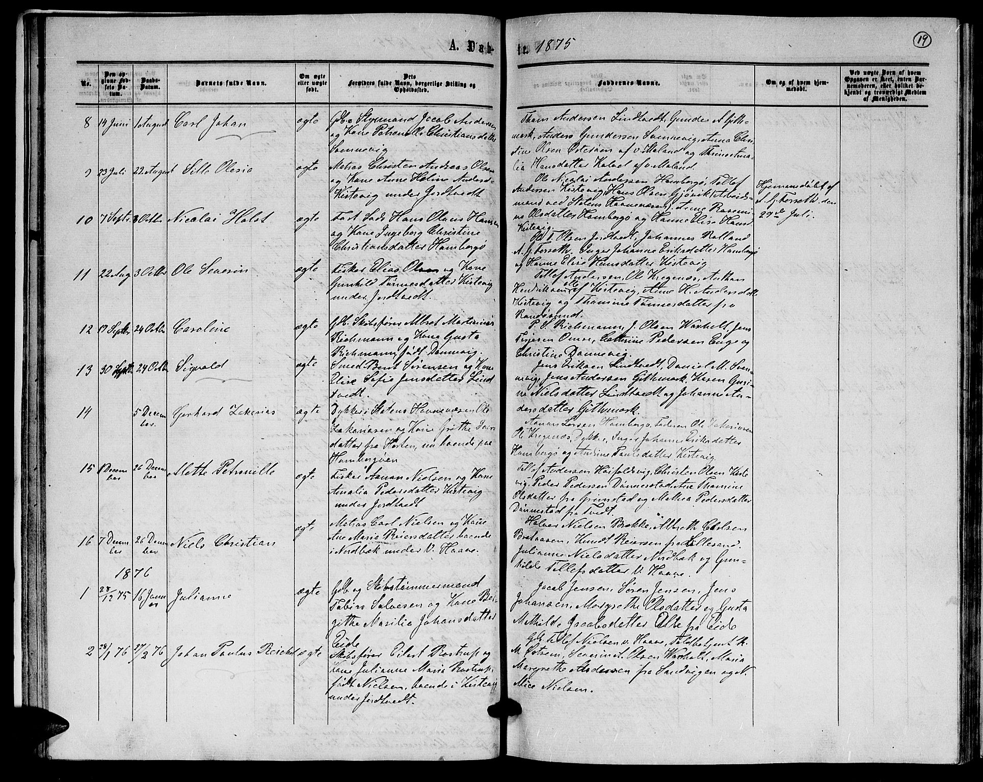 Hommedal sokneprestkontor, AV/SAK-1111-0023/F/Fb/Fba/L0003: Parish register (copy) no. B 3, 1863-1884, p. 19