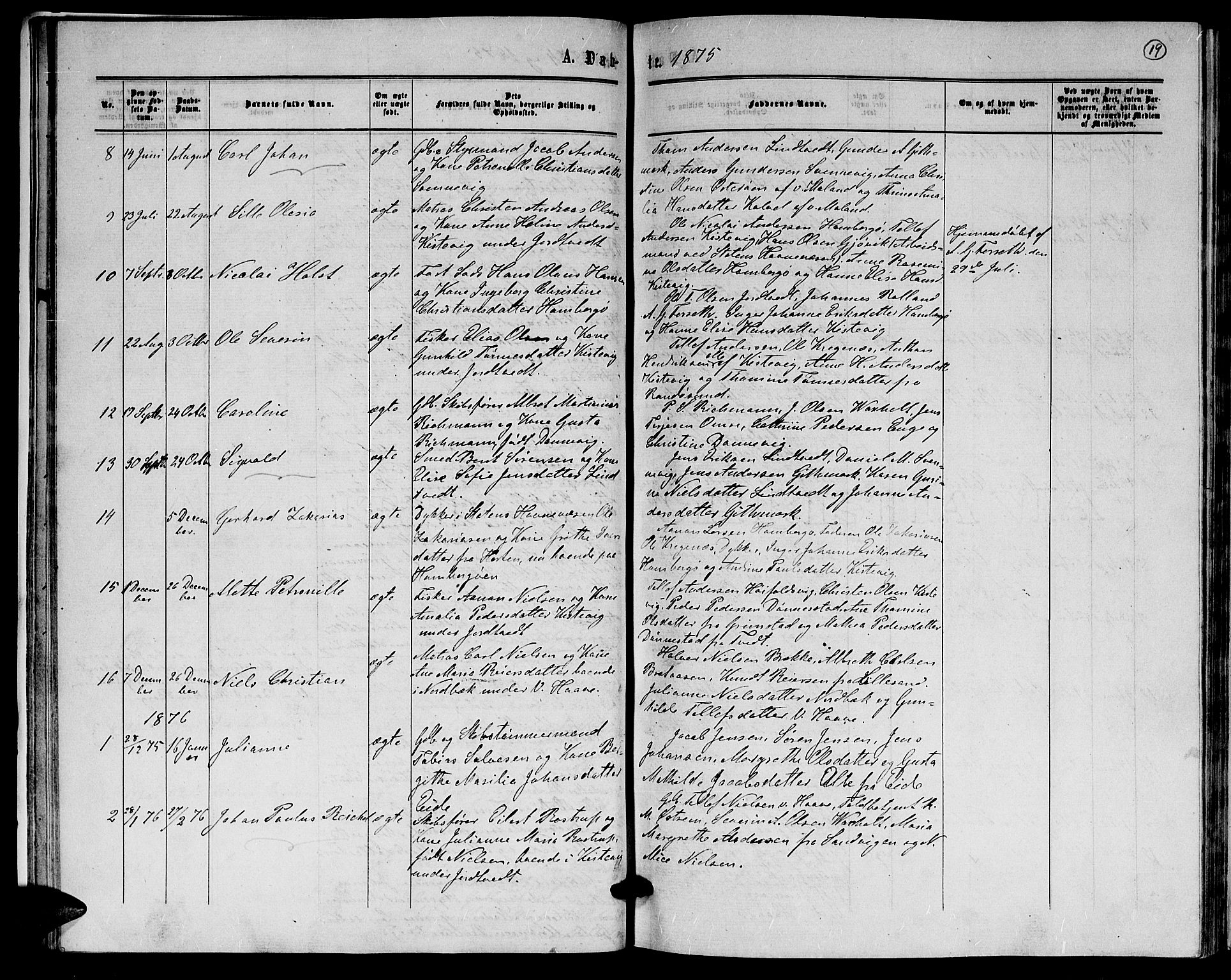 Hommedal sokneprestkontor, AV/SAK-1111-0023/F/Fb/Fba/L0003: Parish register (copy) no. B 3, 1863-1884, p. 19