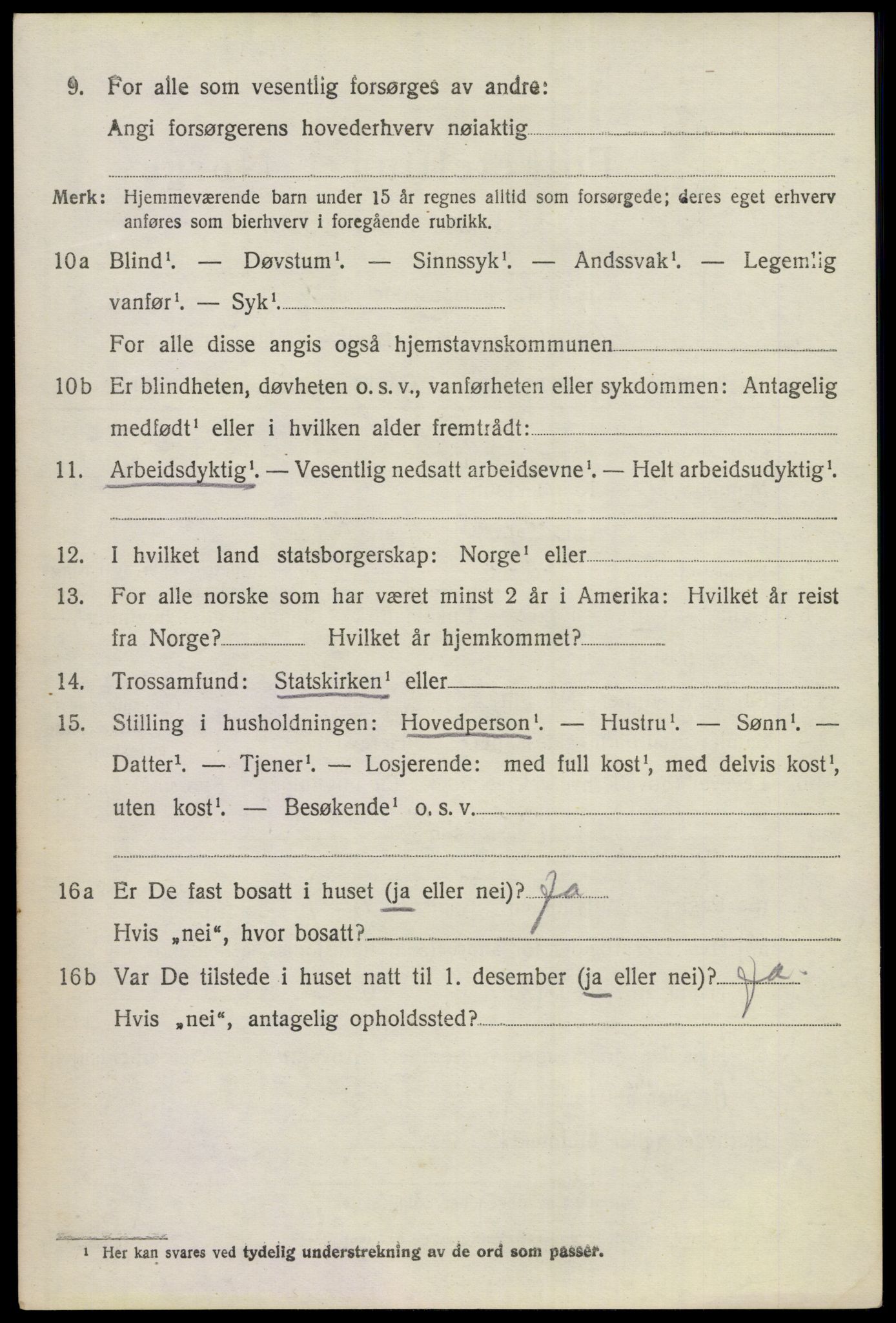 SAKO, 1920 census for Hol (Buskerud), 1920, p. 1196