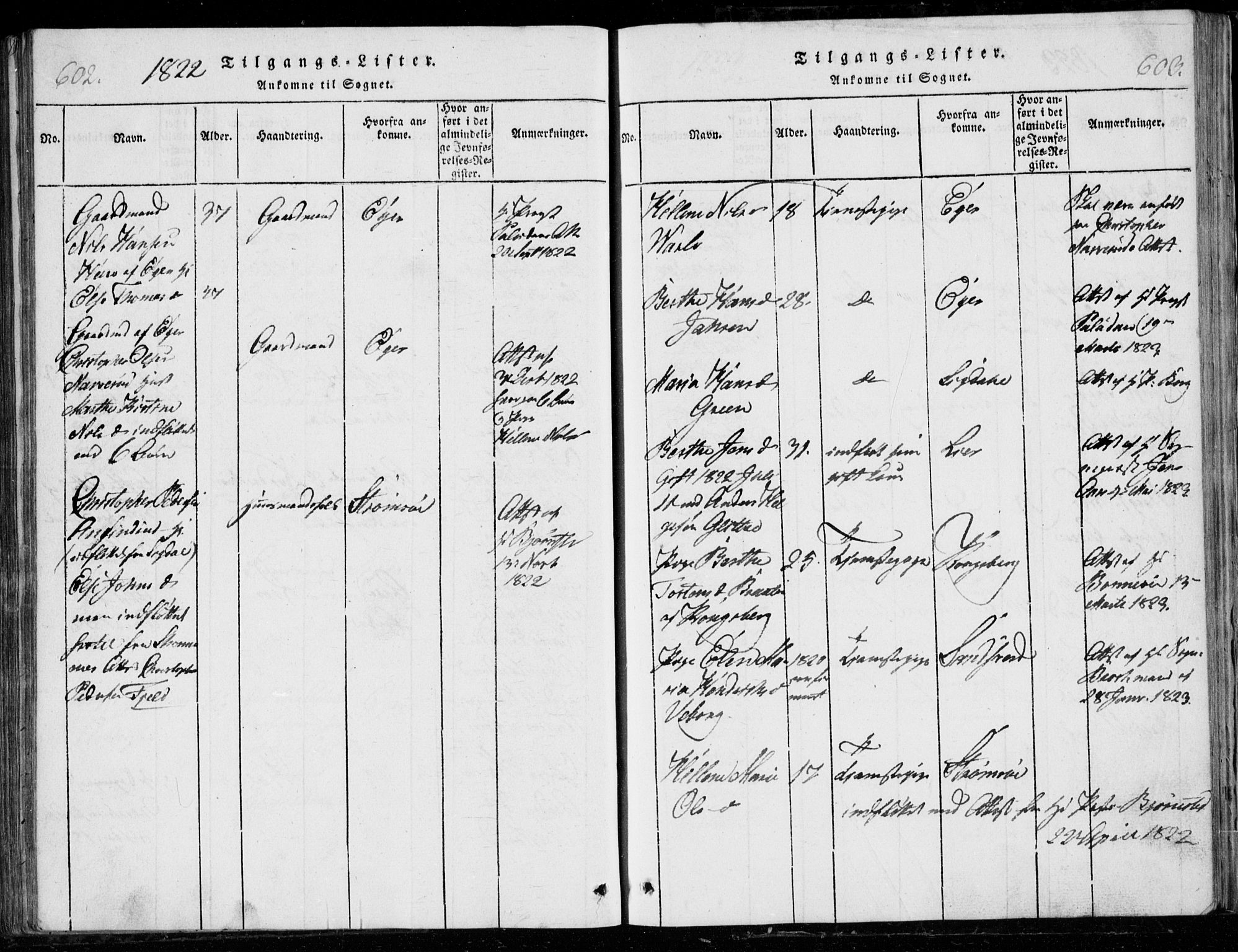 Modum kirkebøker, SAKO/A-234/G/Ga/L0001: Parish register (copy) no. I 1, 1818-1824, p. 602-603