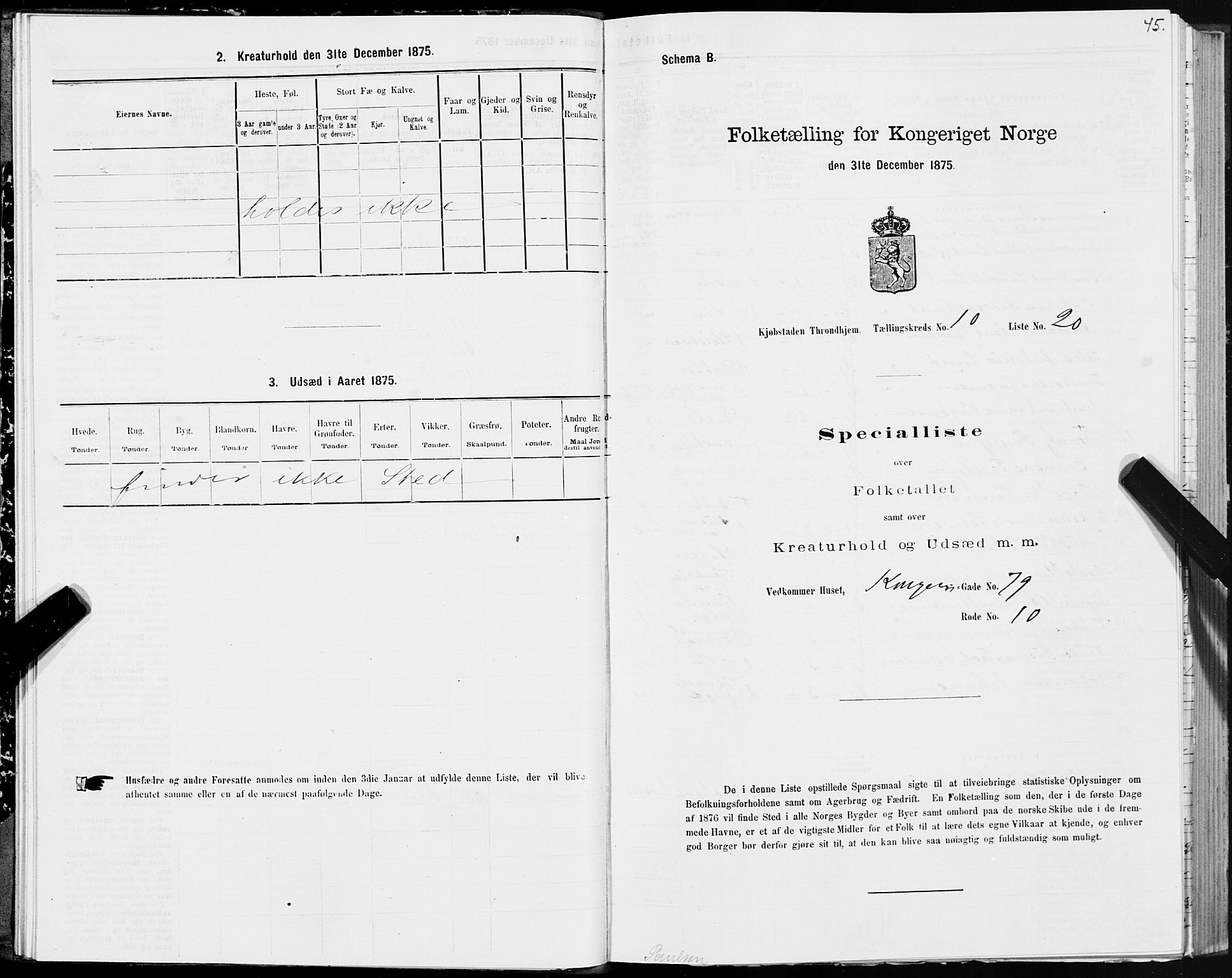 SAT, 1875 census for 1601 Trondheim, 1875, p. 6045