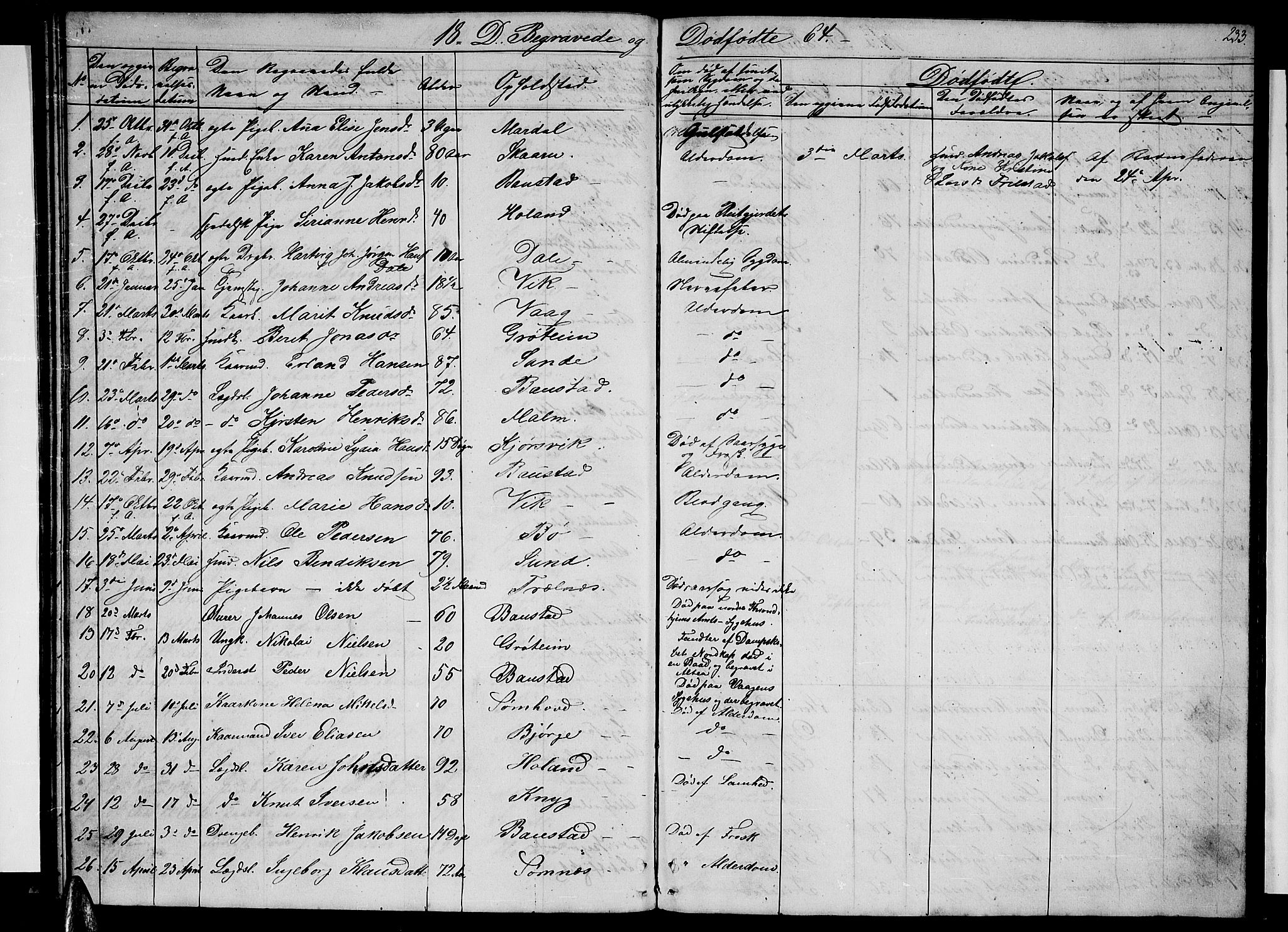 Ministerialprotokoller, klokkerbøker og fødselsregistre - Nordland, AV/SAT-A-1459/812/L0187: Parish register (copy) no. 812C05, 1850-1883, p. 233