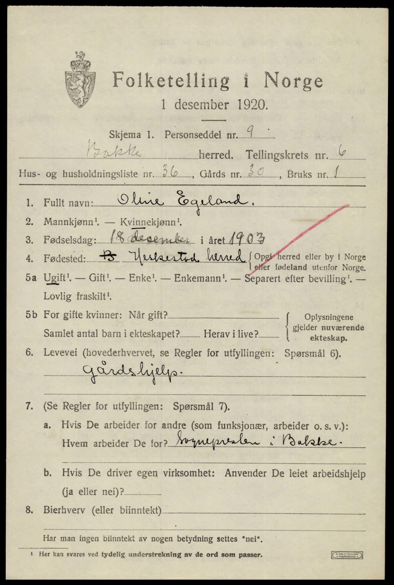 SAK, 1920 census for Bakke, 1920, p. 2220