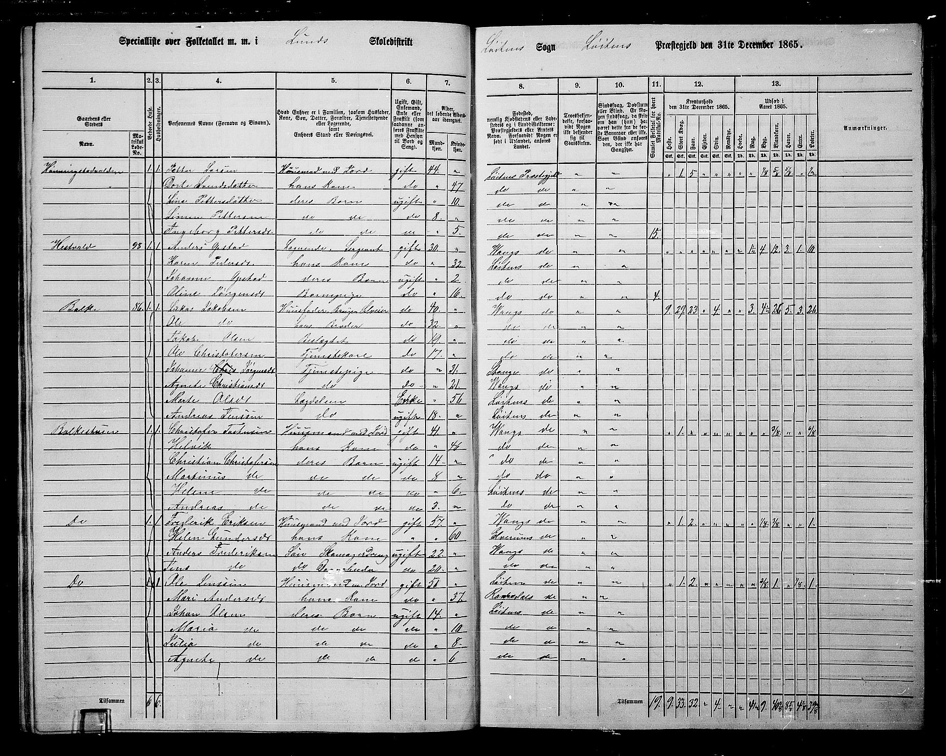 RA, 1865 census for Løten, 1865, p. 41