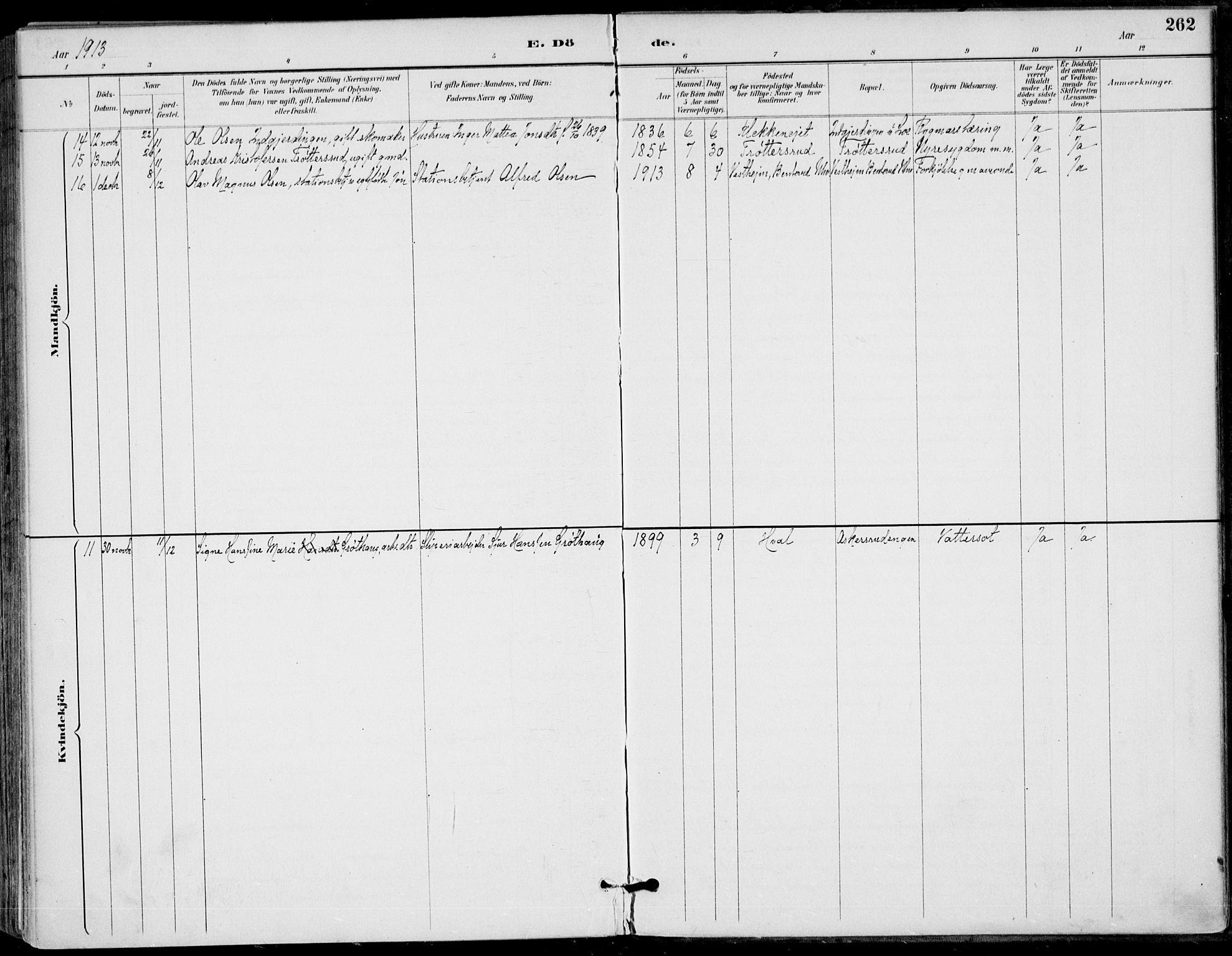 Haug kirkebøker, AV/SAKO-A-604/F/Fa/L0001: Parish register (official) no. 1, 1885-1917, p. 262