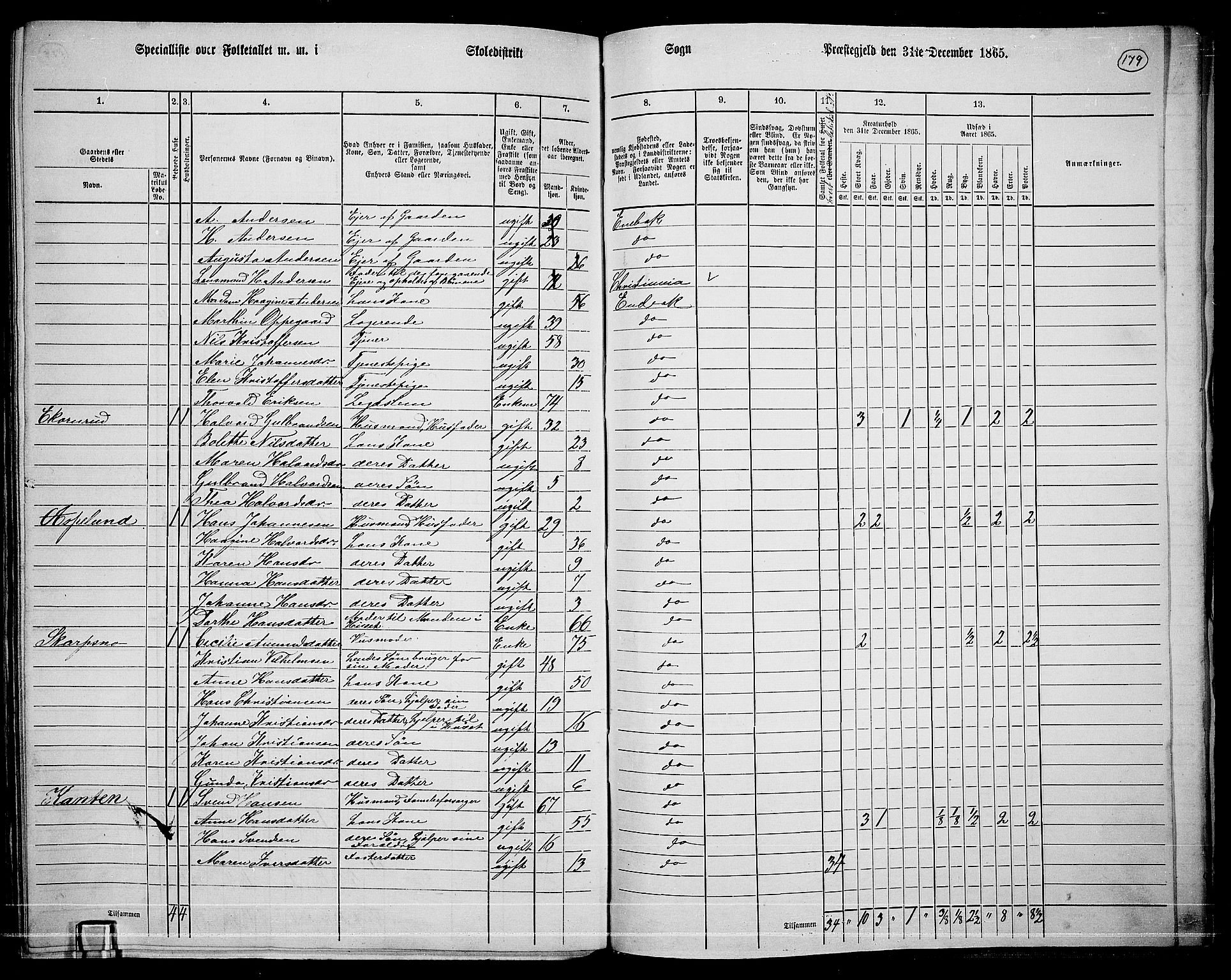 RA, 1865 census for Enebakk, 1865, p. 156