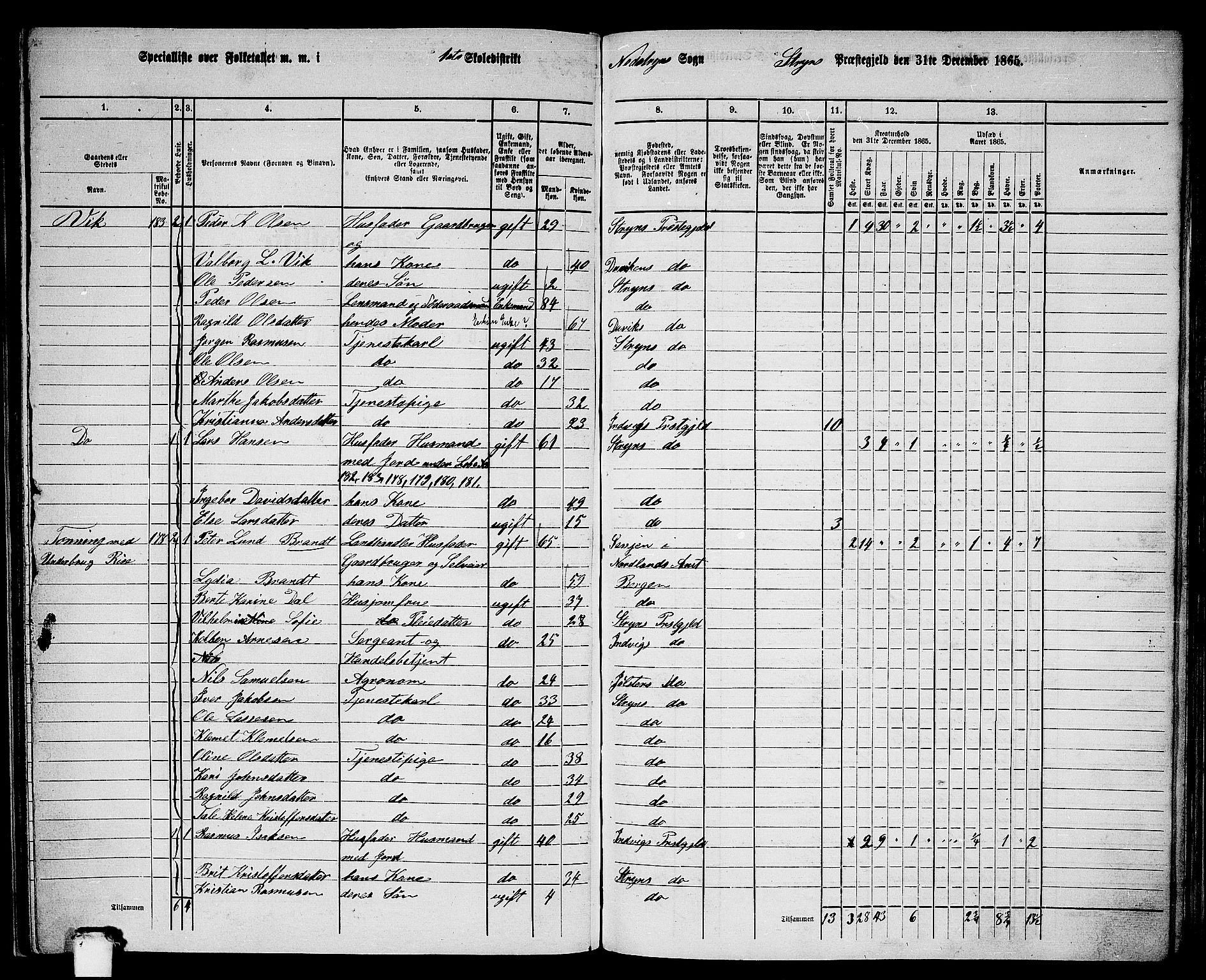 RA, 1865 census for Stryn, 1865, p. 58