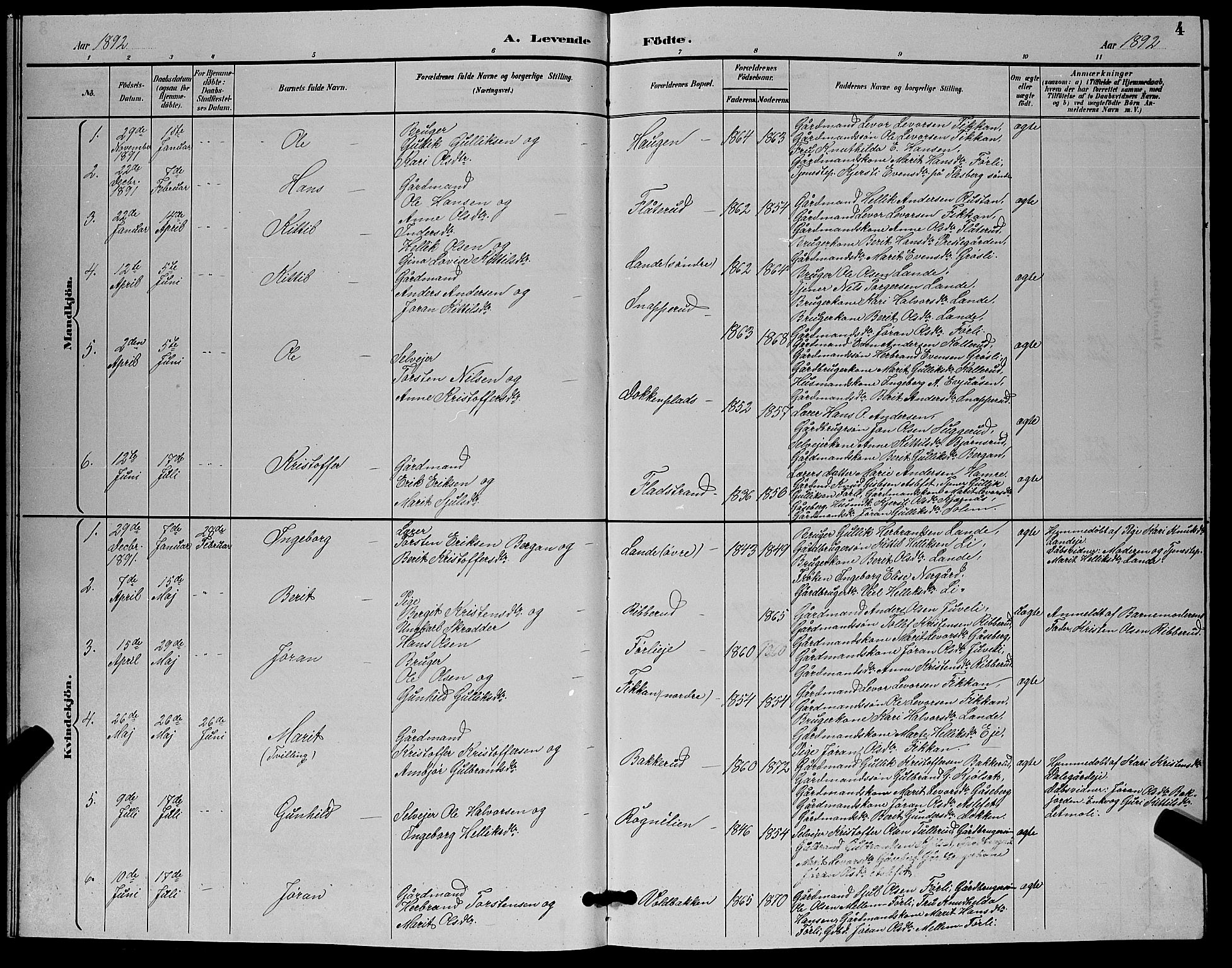 Flesberg kirkebøker, AV/SAKO-A-18/G/Ga/L0004: Parish register (copy) no. I 4 /1, 1890-1898, p. 4